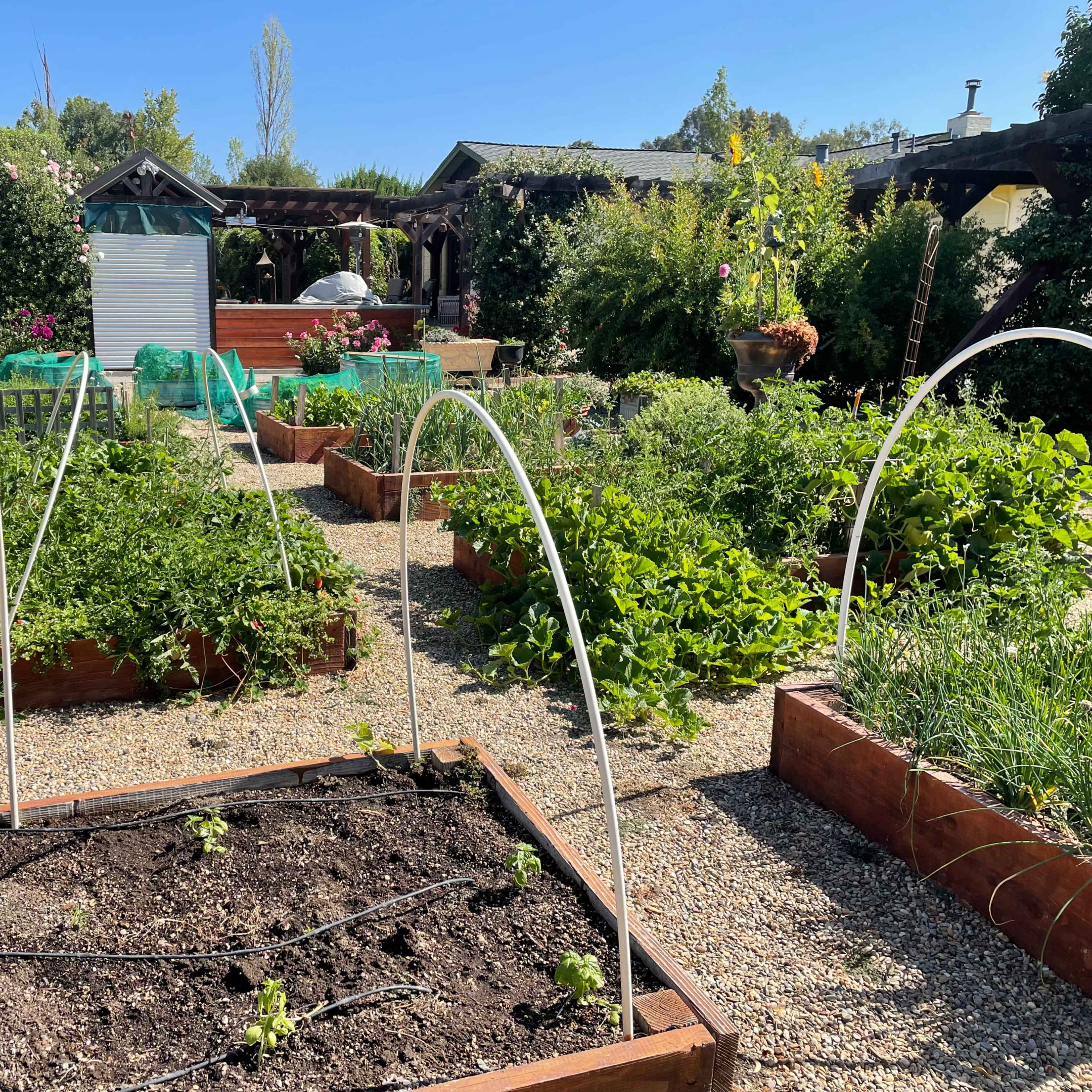 A well-maintained garden features raised planting beds arranged with various plants, surrounded by gravel pathways and decorative structures.