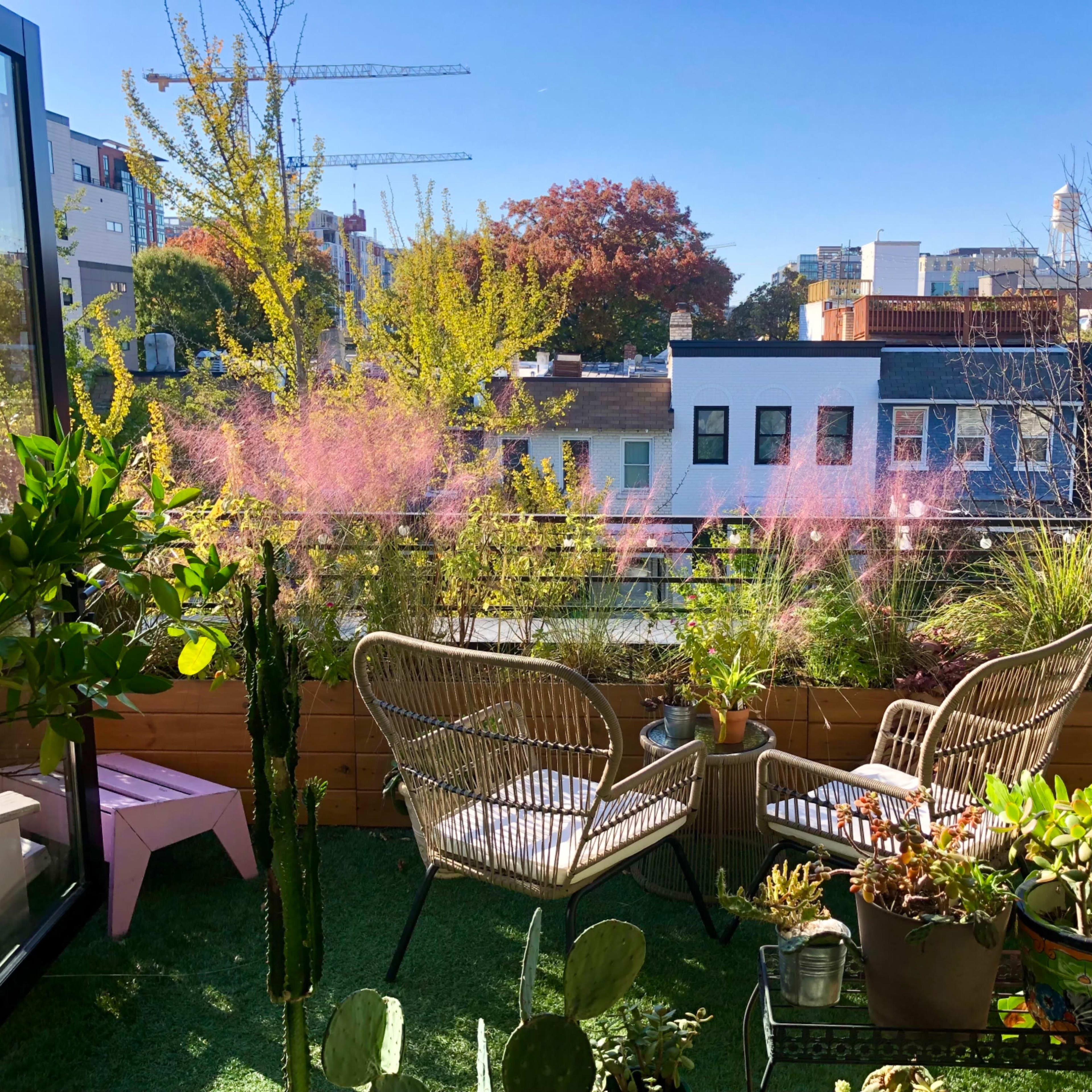 A small balcony features two chairs surrounded by various plants and greenery under a clear blue sky.