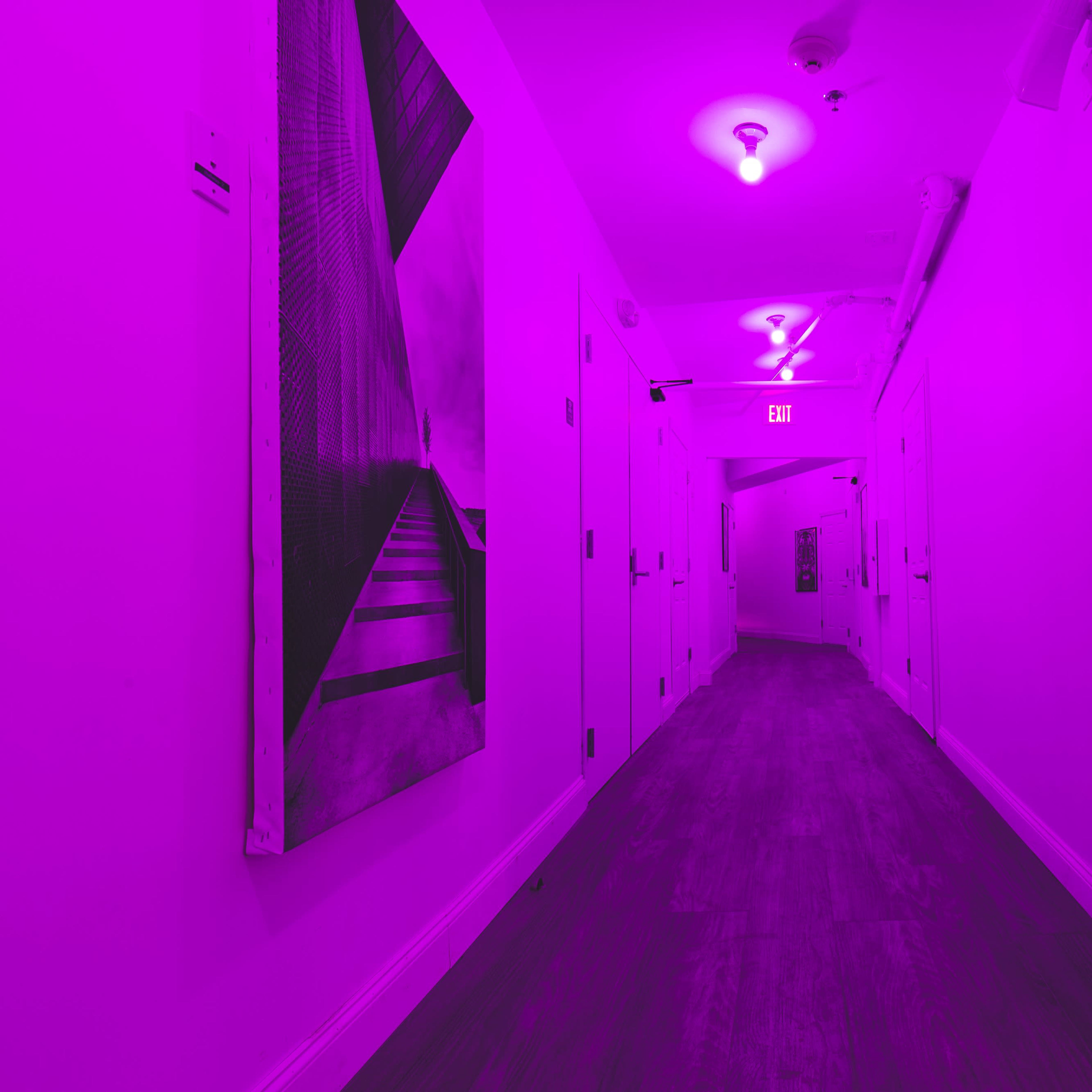 A long hallway with purple lighting features a series of doors on either side and a large graphic on the wall.