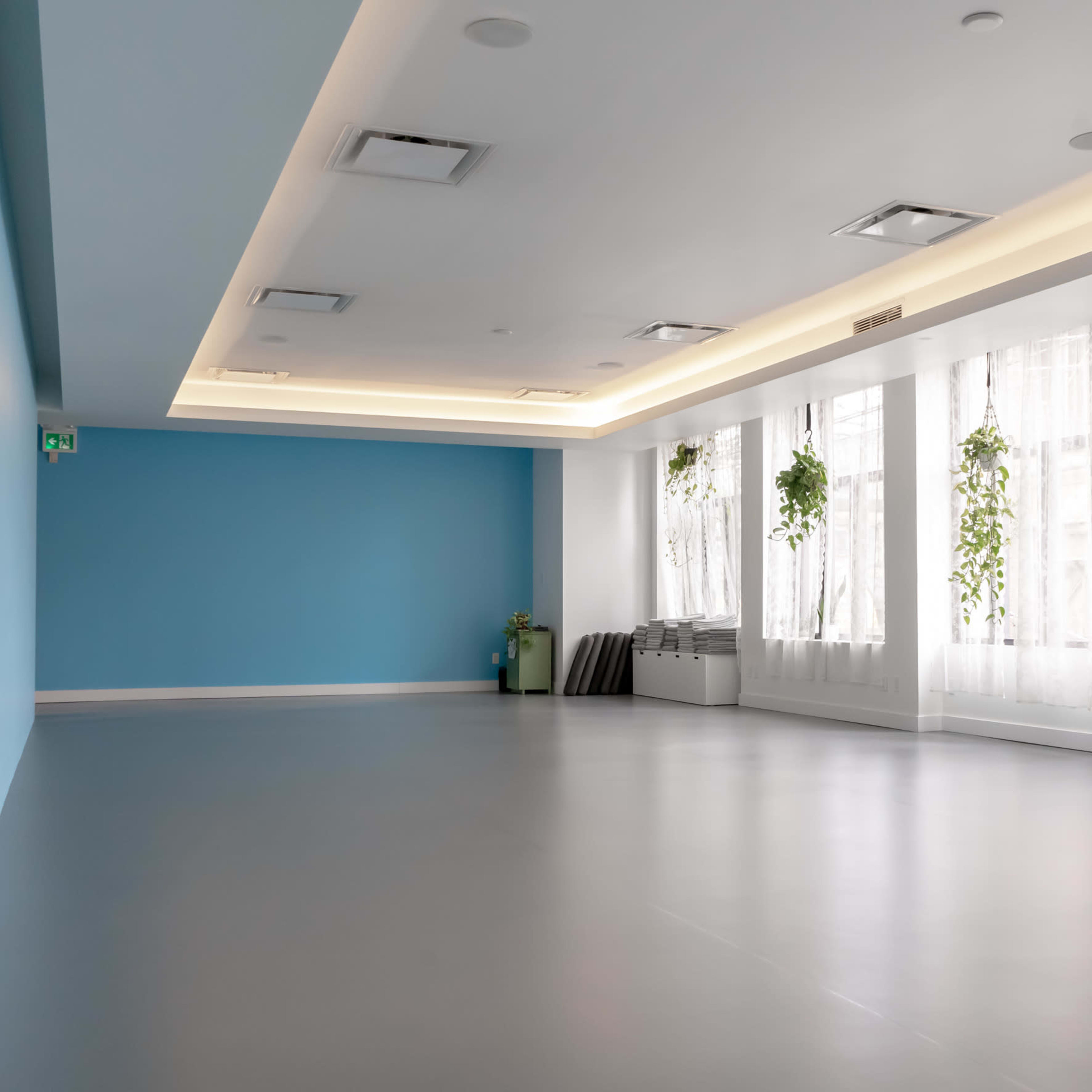 A spacious, minimalist room with light gray flooring, blue accent walls, and large windows adorned with hanging plants.
