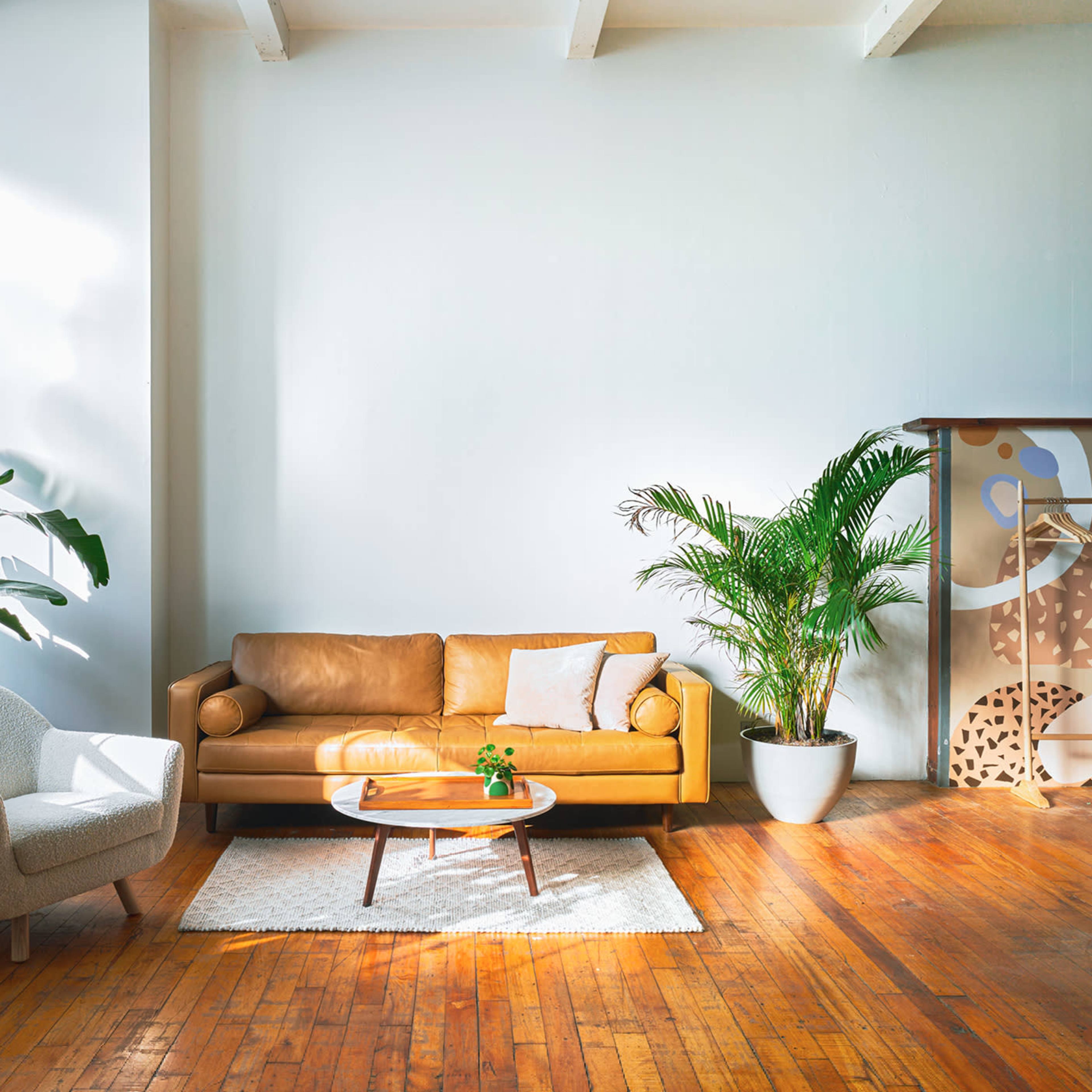 A well-lit living room features a brown leather sofa, a light-colored armchair, a coffee table, and potted plants against a backdrop of white walls and wooden flooring.