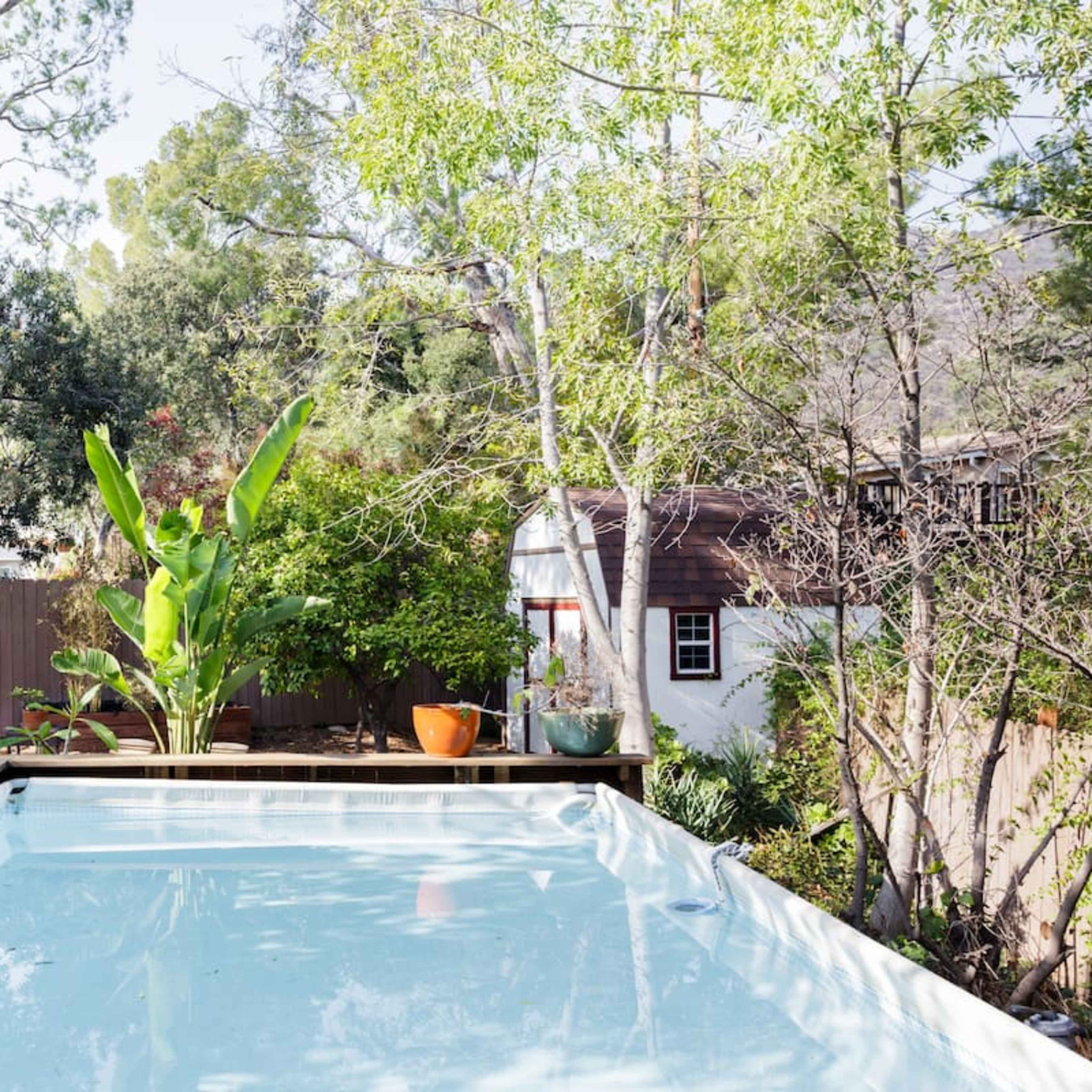 A clear swimming pool is surrounded by greenery and potted plants in a serene backyard setting.