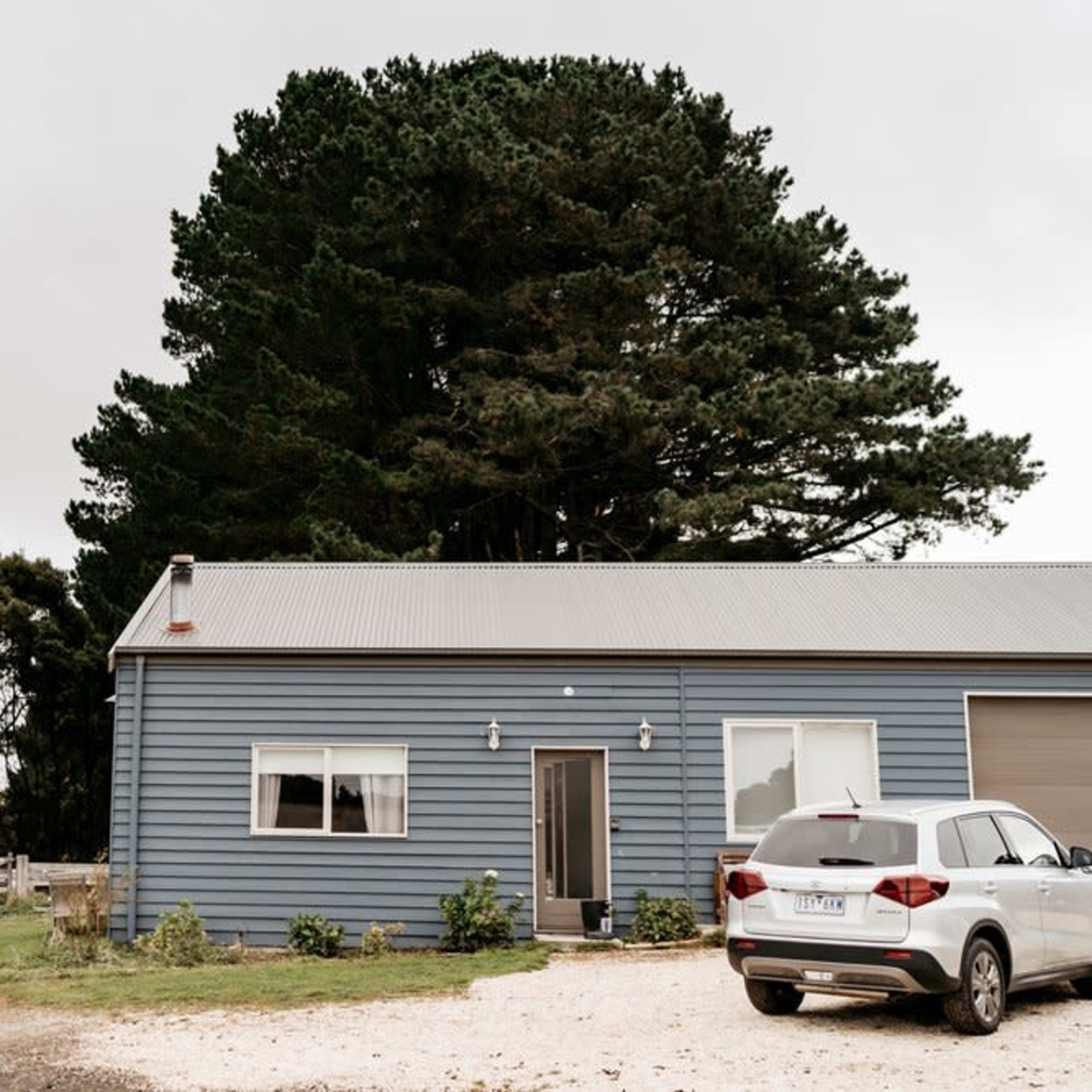 A blue house with a metal roof is situated near a gravel driveway and surrounded by tall trees.