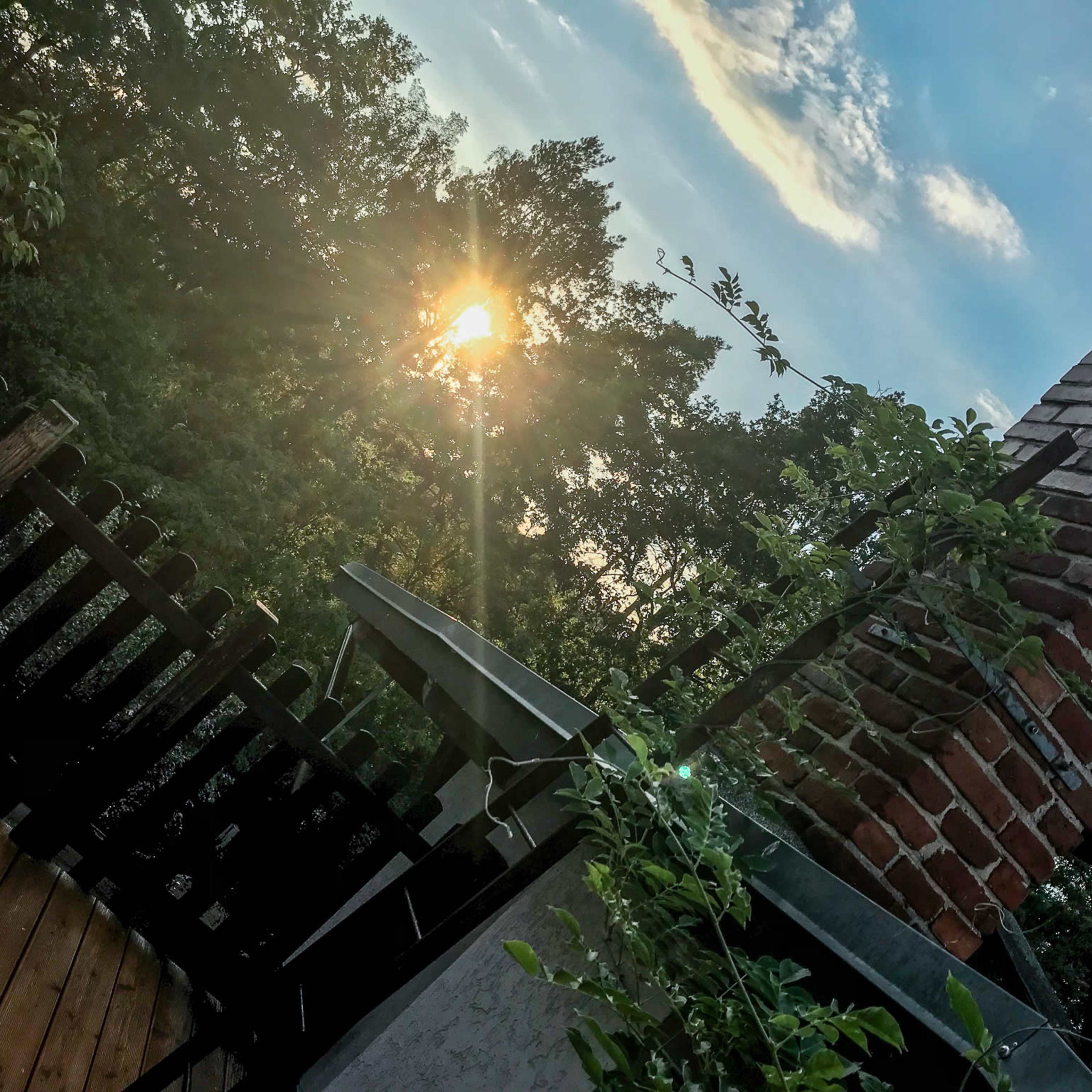 The setting sun is partially visible behind trees, casting a light that glints off a nearby chimney in a garden.