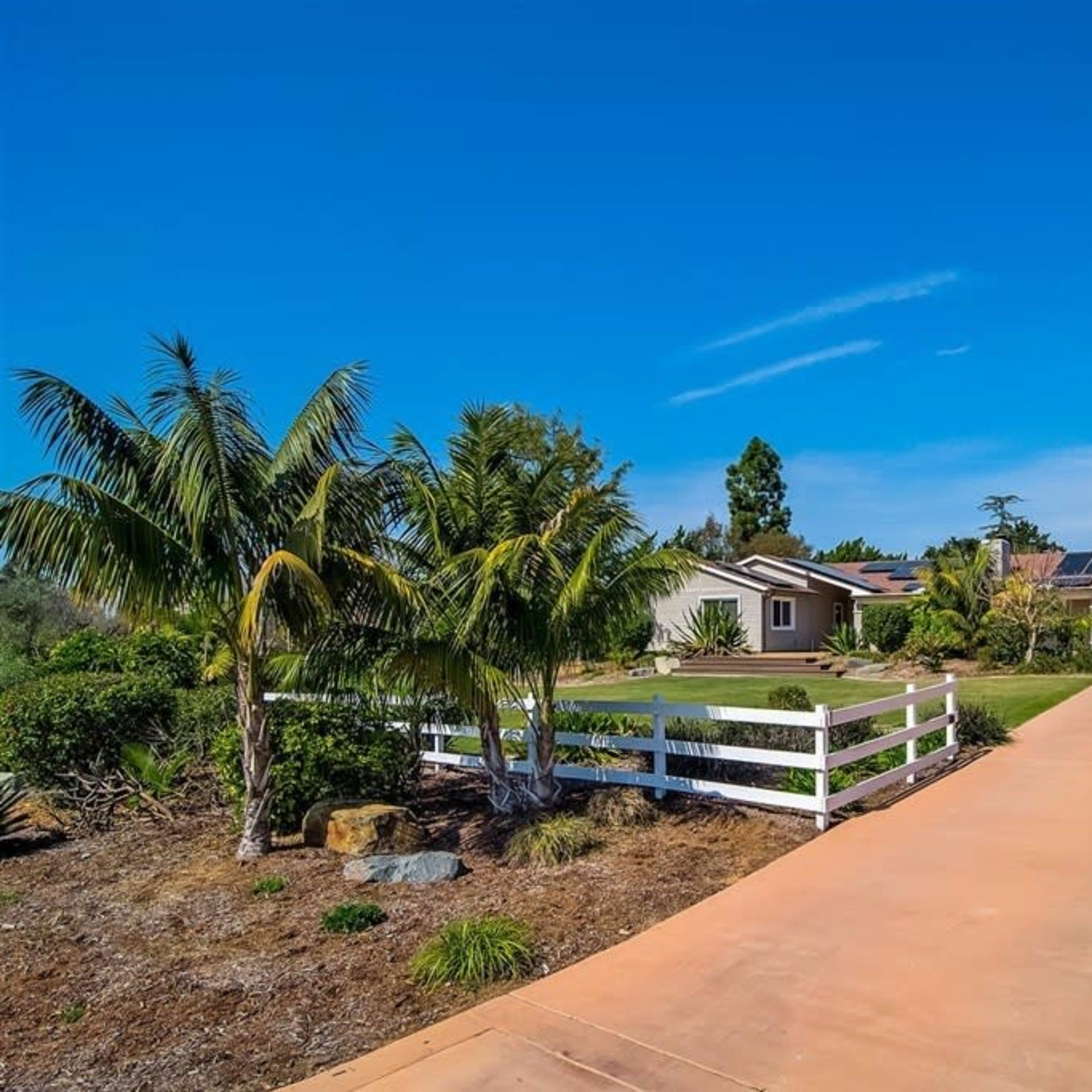 A paved driveway lined with palm trees leads to a single-story house surrounded by landscaped greenery.