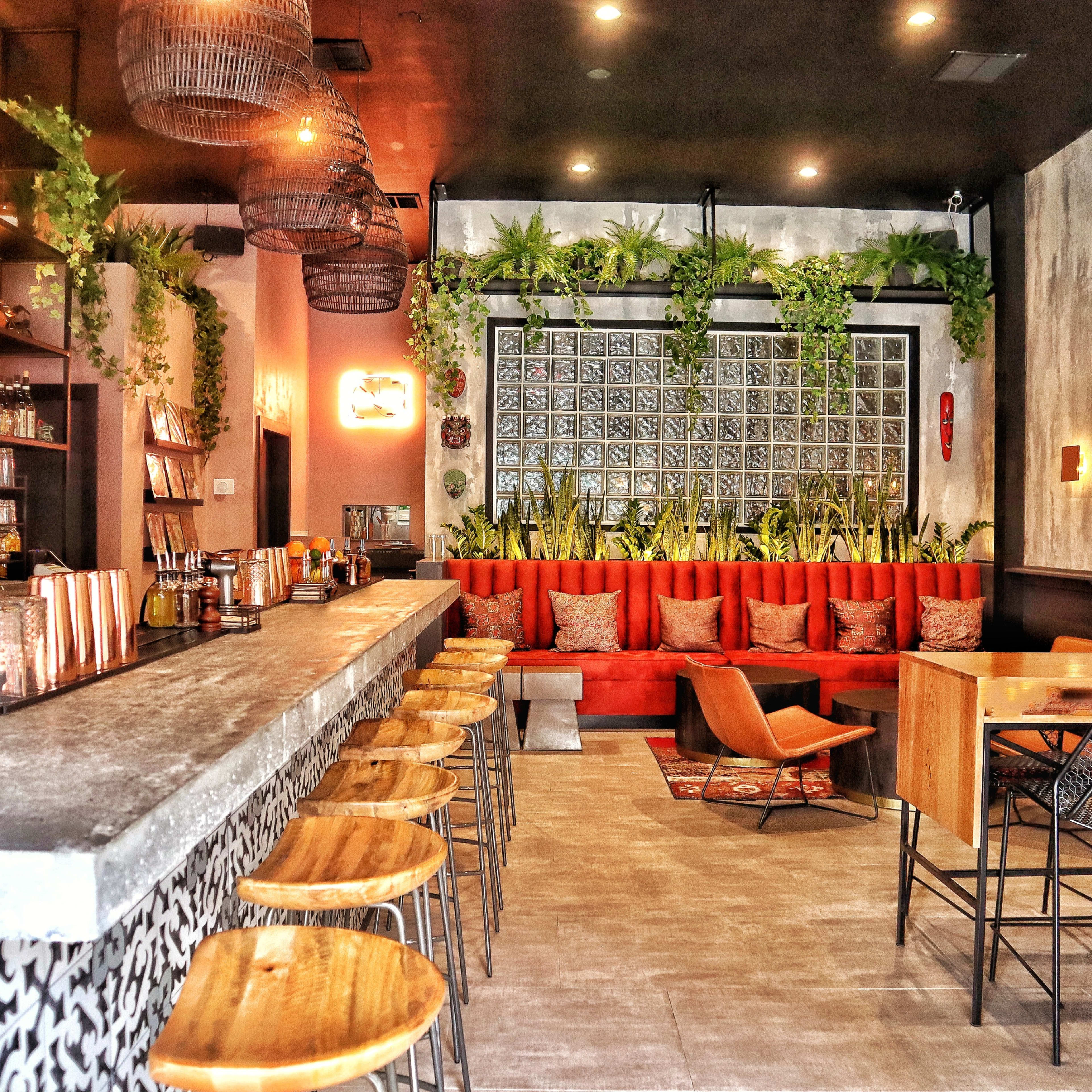 A modern bar interior featuring a long counter with wooden stools and a backdrop of shelves filled with bottles, alongside a seating area with red cushions and greenery.