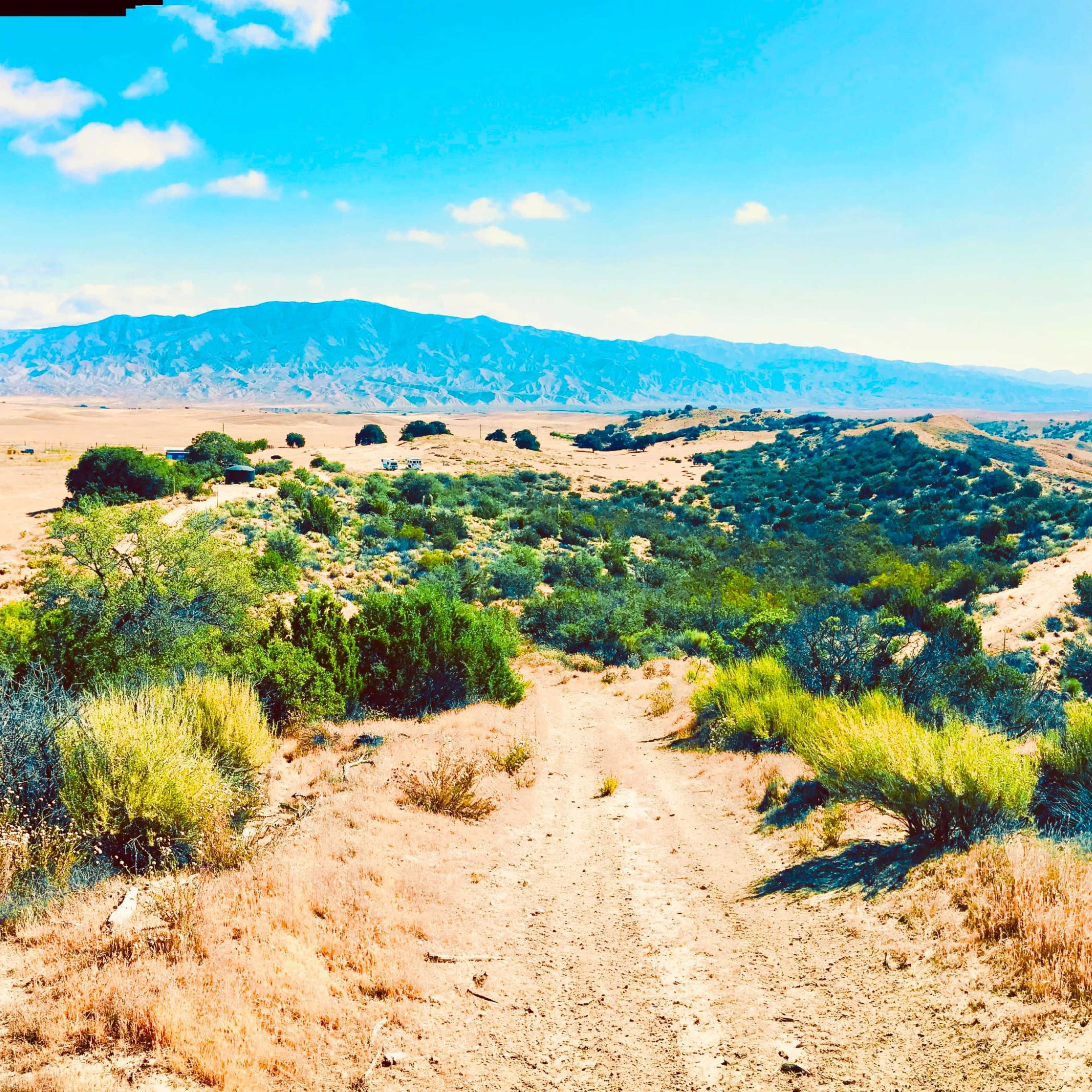 A dirt path winds through grassy hills and sparse vegetation, leading towards a distant mountain range under a clear blue sky.