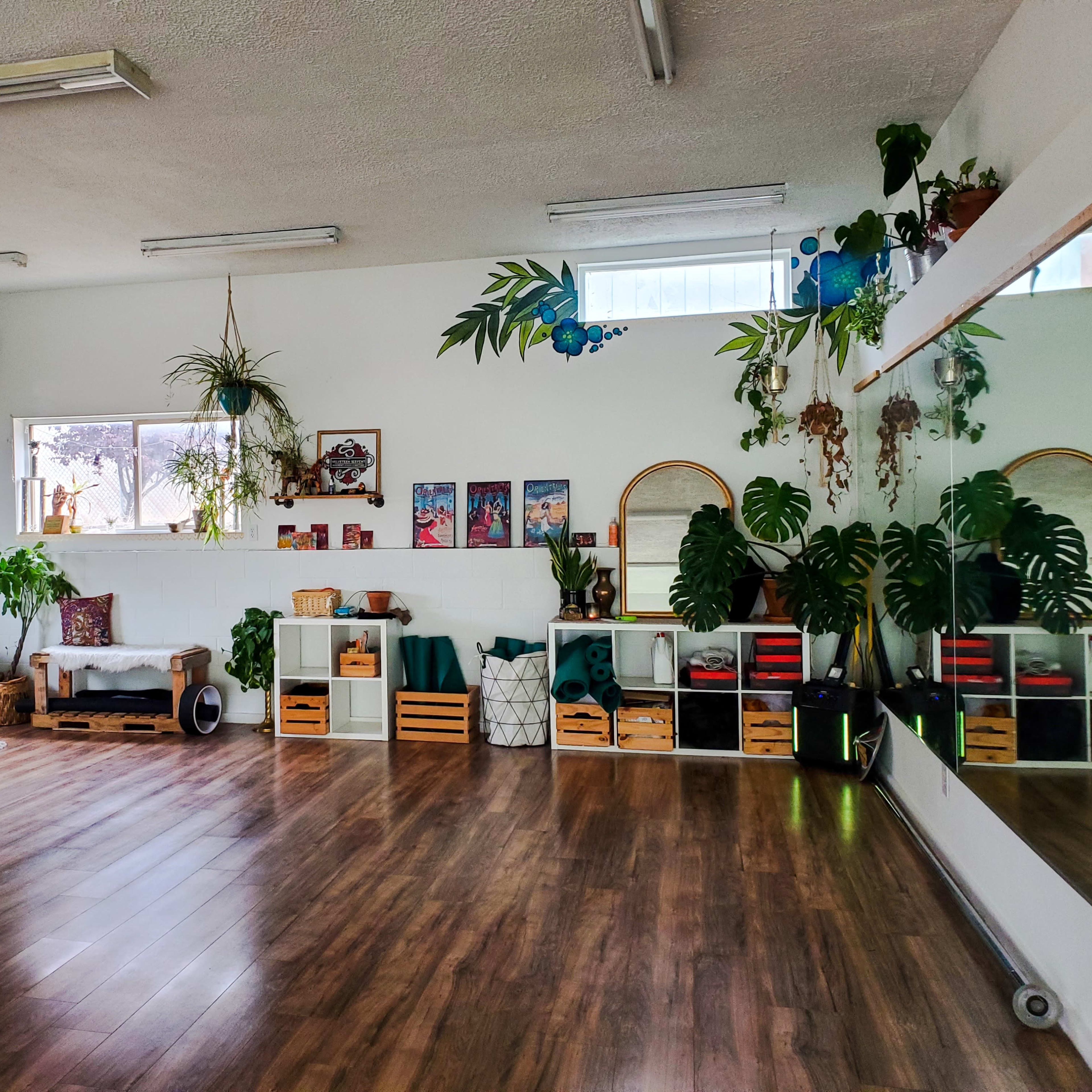 A spacious room with wooden flooring, large windows, plants, and various furniture arrangements, including a mirror and storage boxes.