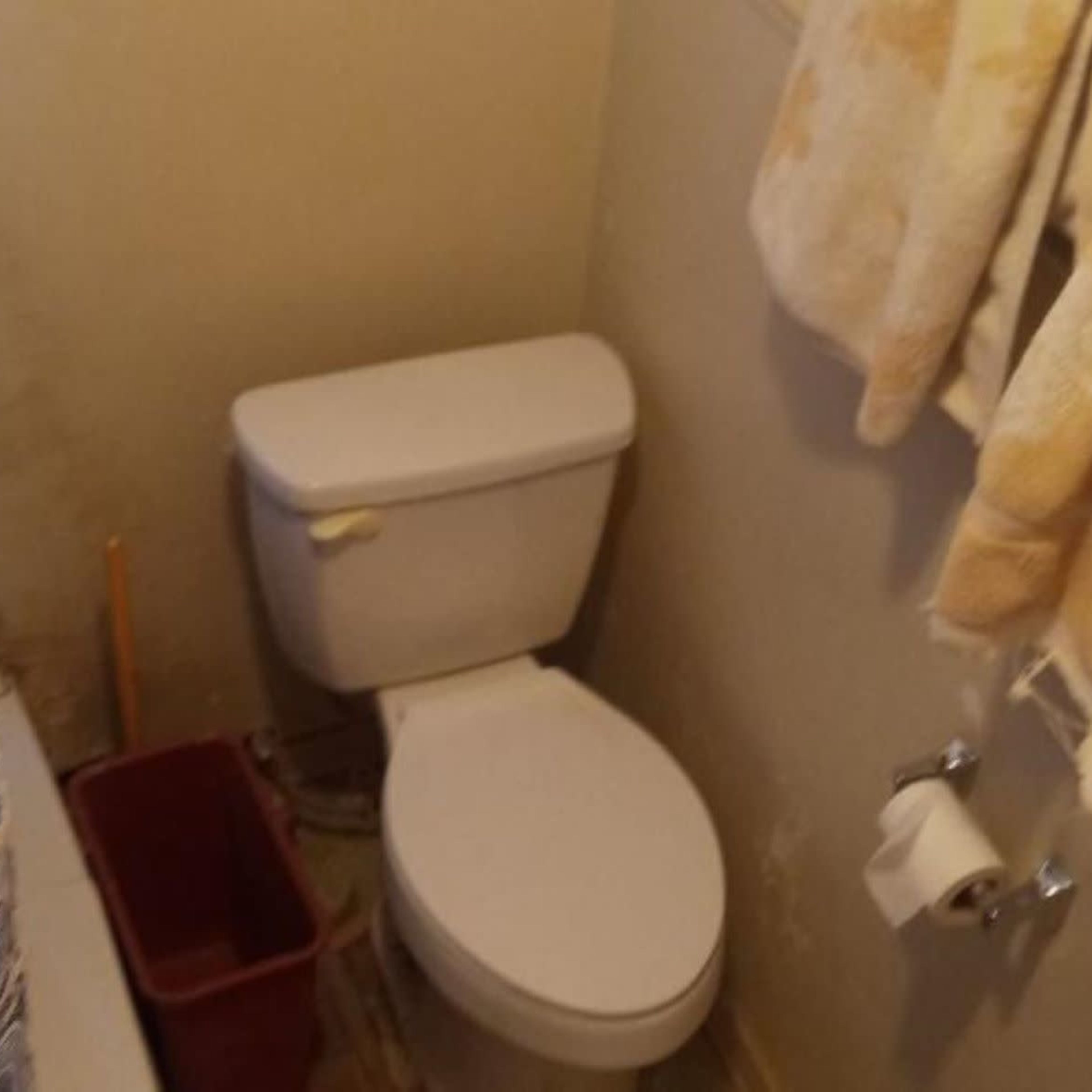 A small bathroom with a toilet, a toilet paper holder, a bucket on the floor, and towels hanging on a wall.