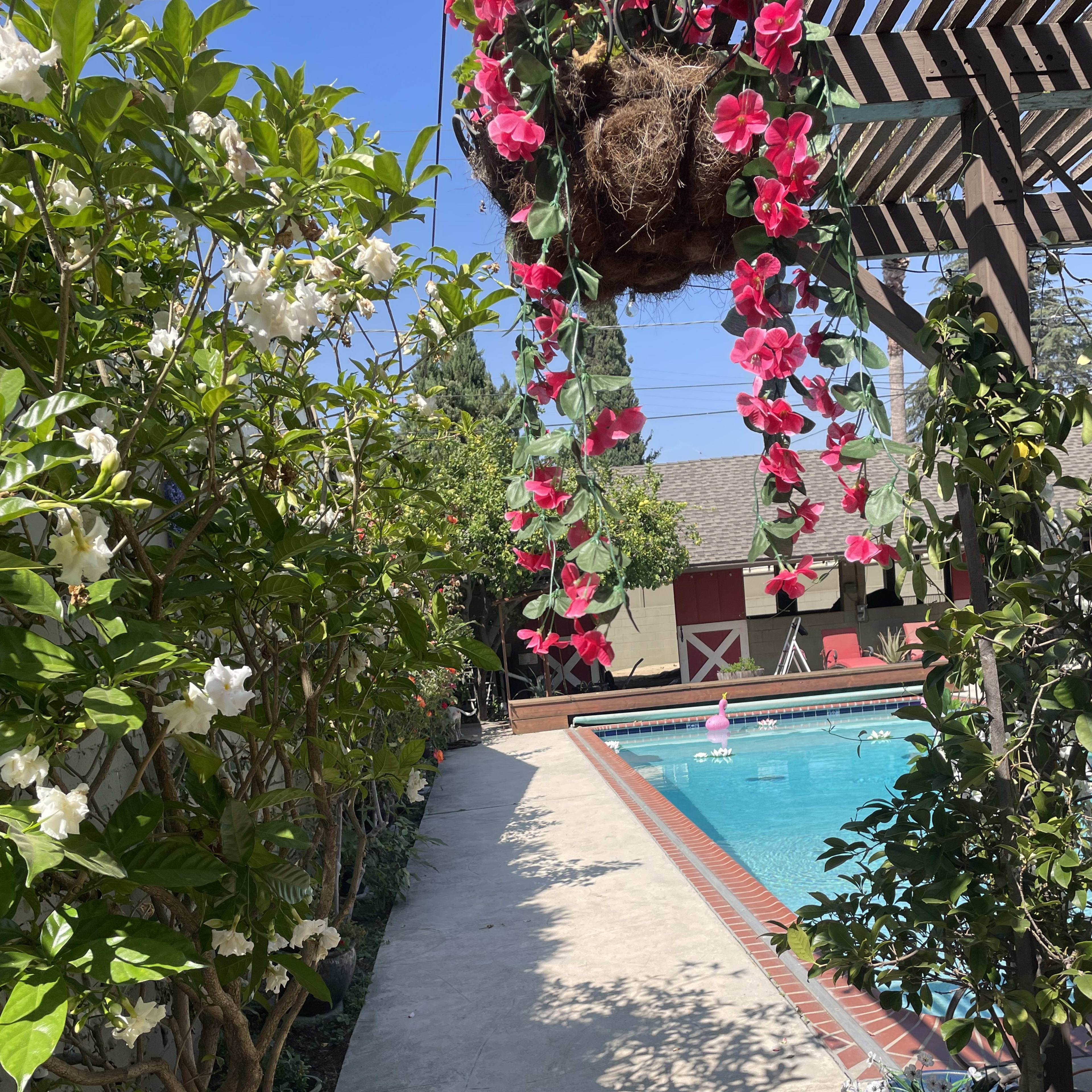 A pathway lined with greenery and flowers that leads to a swimming pool enclosed by a fence and a shaded area.