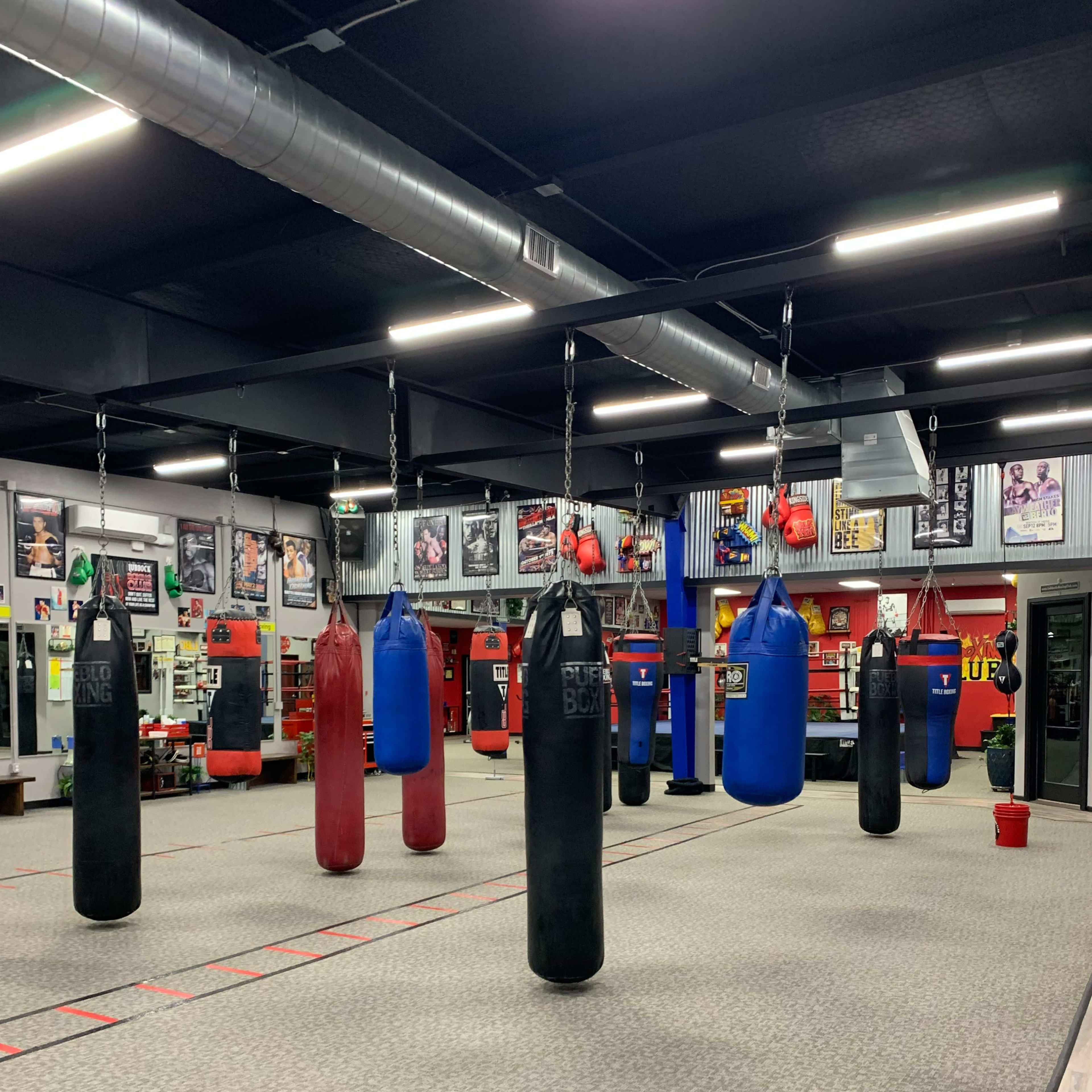 A boxing gym with multiple hanging punching bags of various colors arranged in a spacious, well-lit area.