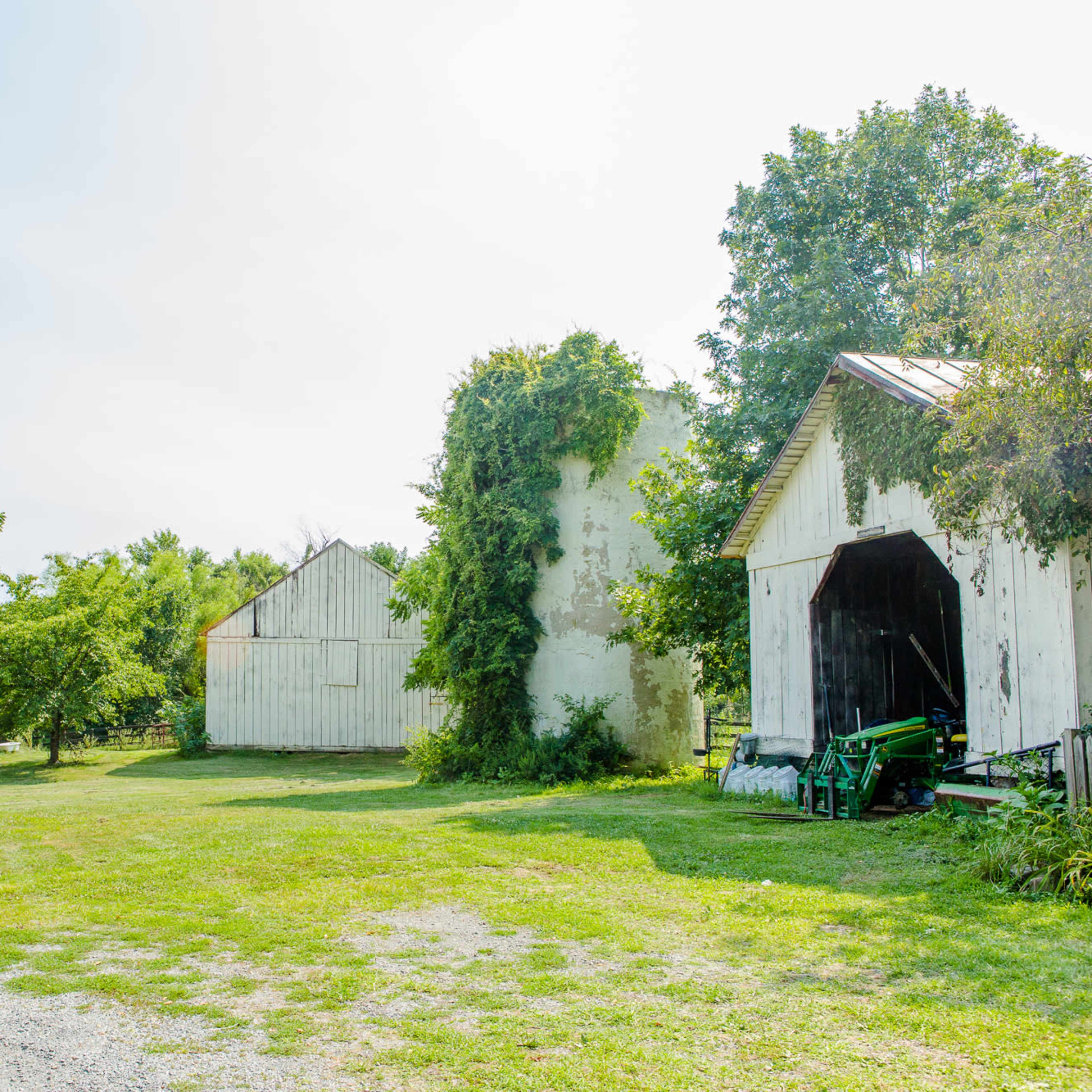 A rural scene with two white barns surrounded by green grass and trees.