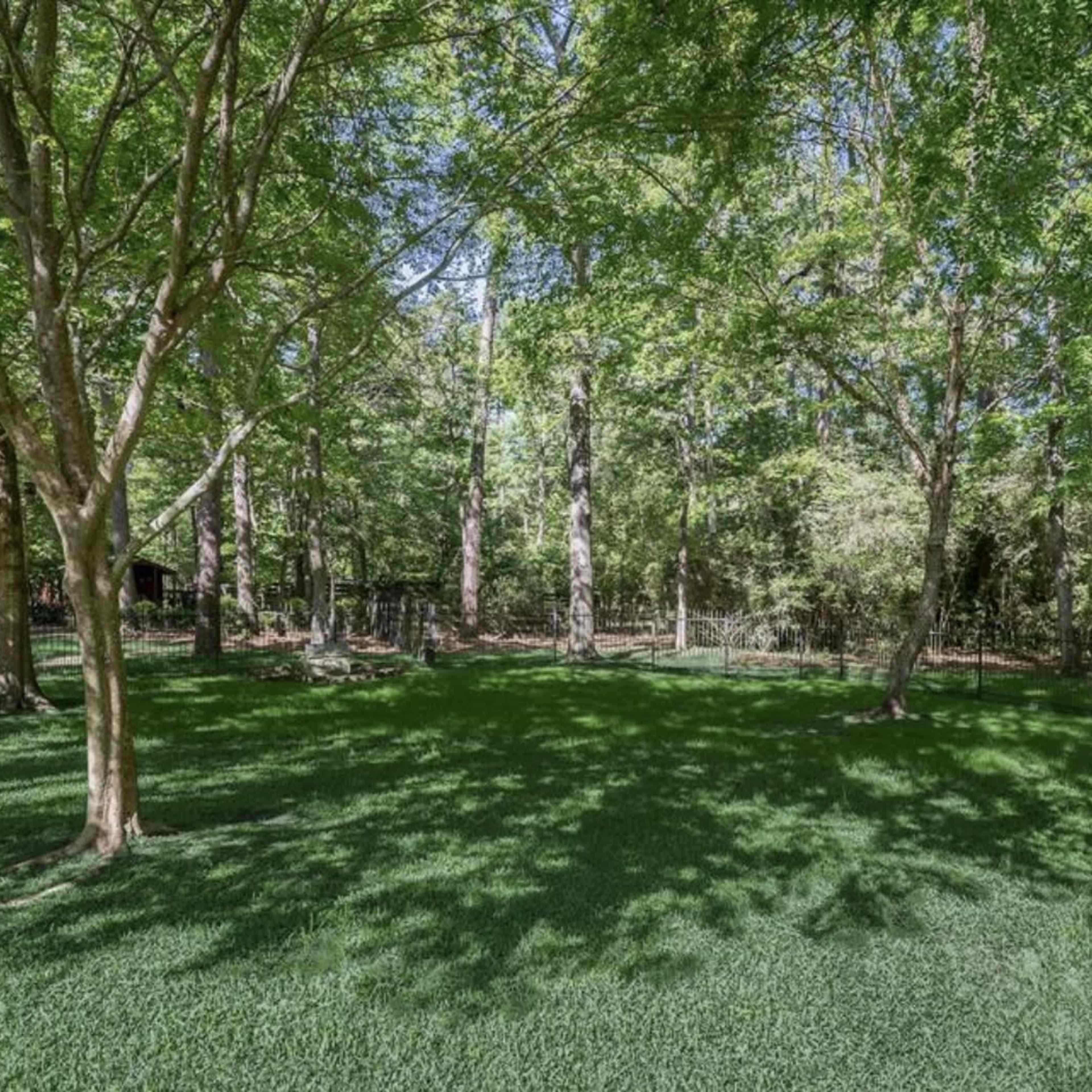A spacious, grassy yard surrounded by trees and a metal fence.