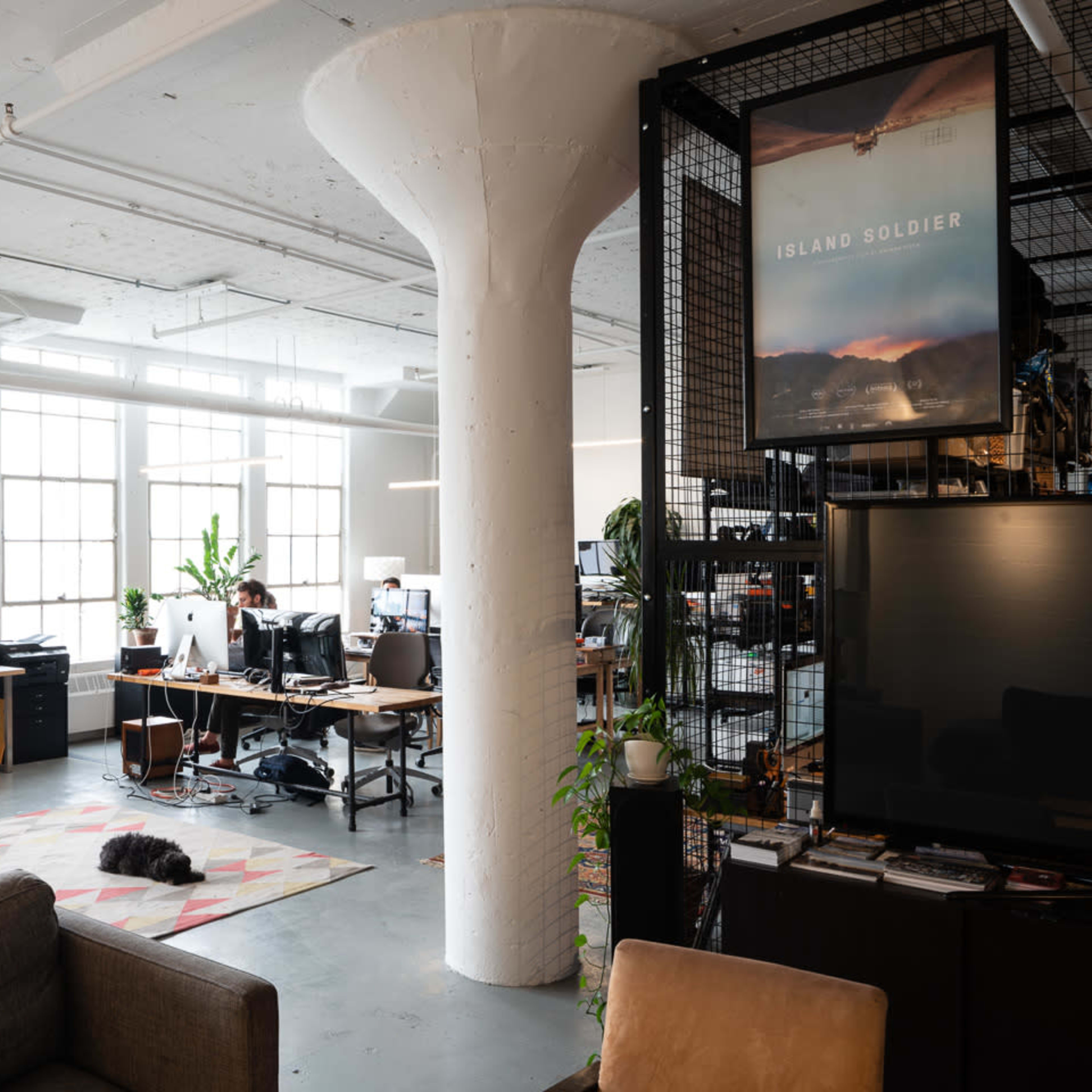 A spacious office features desks with computers, large windows, a seating area with a couch, and a poster titled "ISLAND SOLDIER" on a wall.
