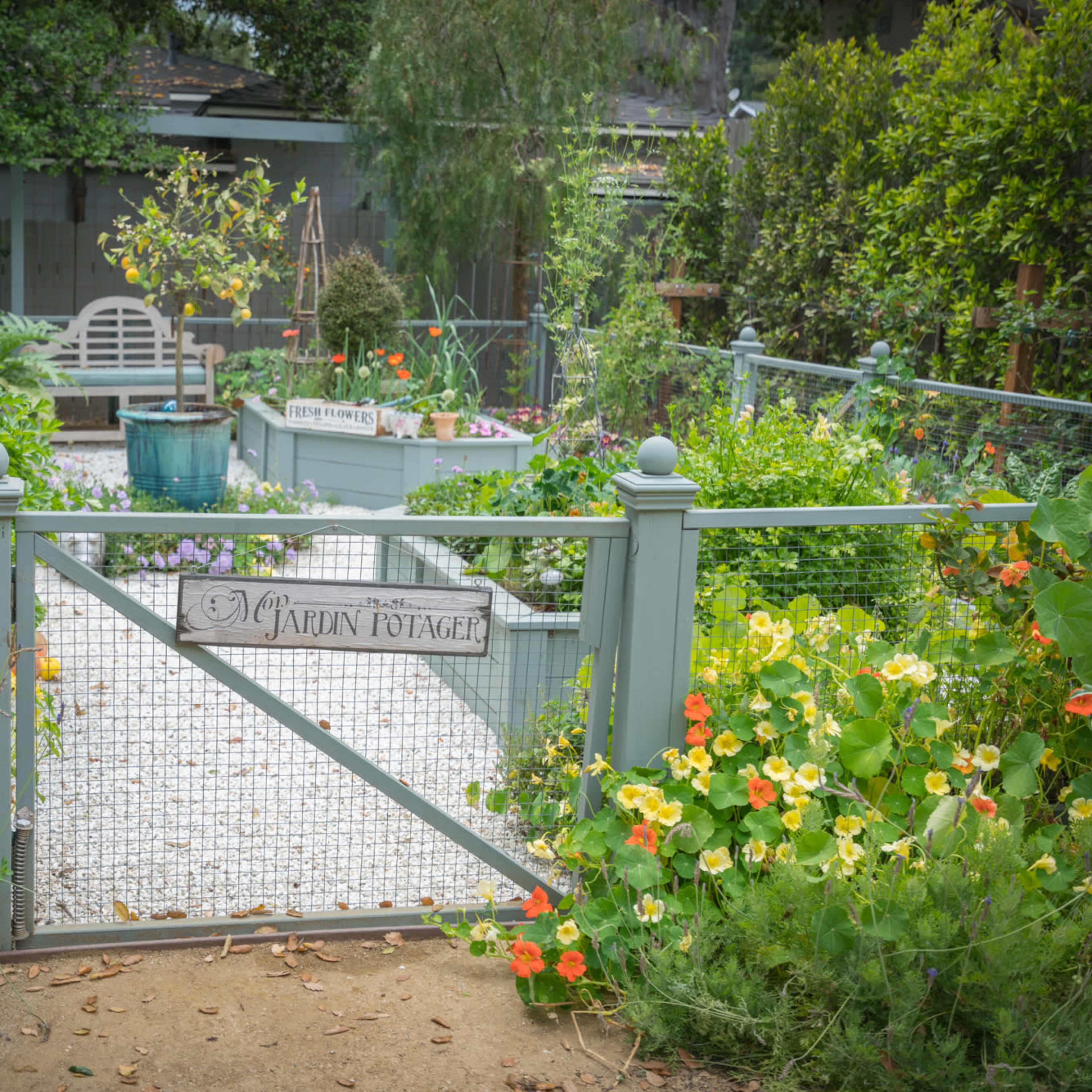 A quaint garden is enclosed by a gray wooden fence, featuring a sign that reads "Marian Cottage" and vibrant flowers blooming along the entrance.