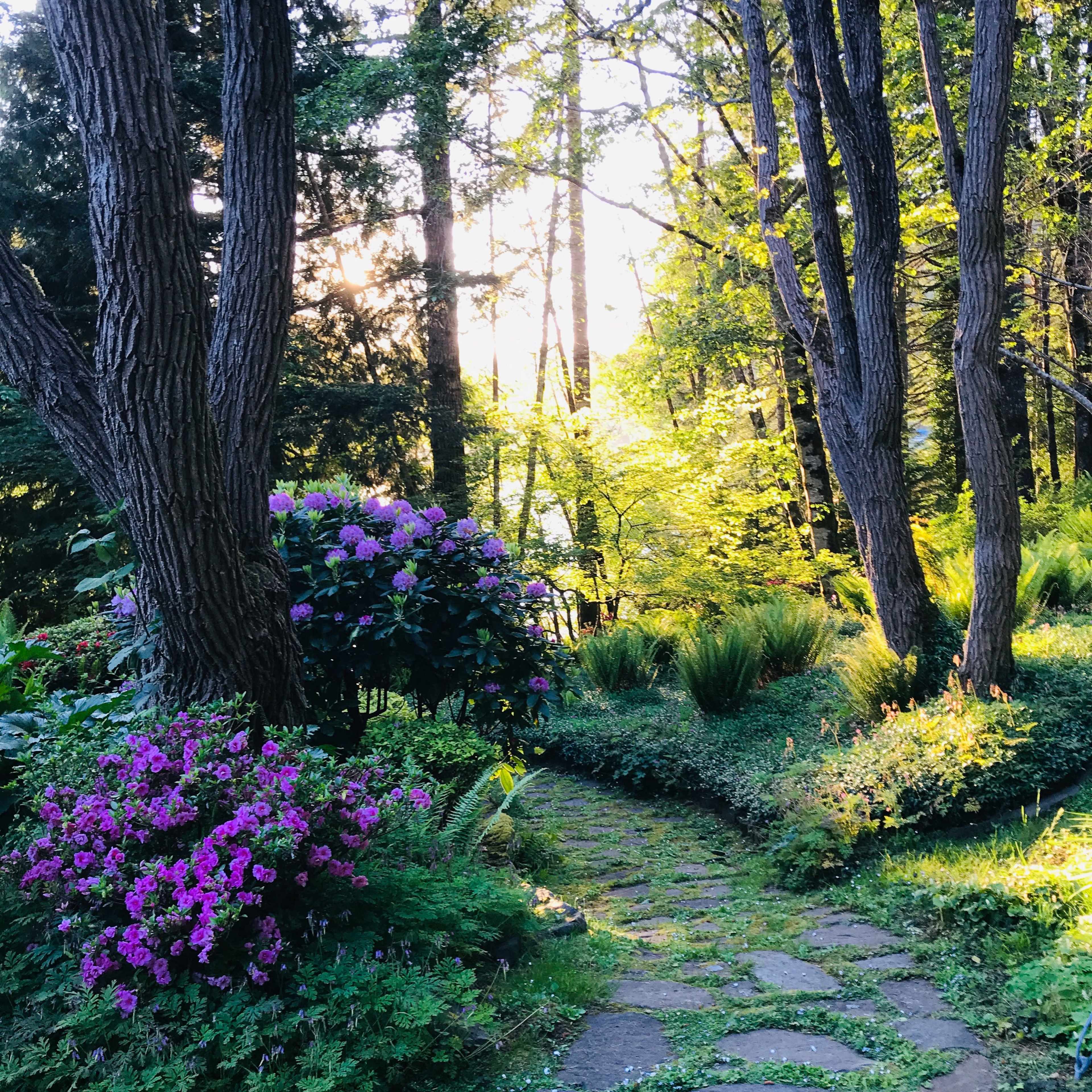 A stone path winds through lush greenery and vibrant flowering bushes in a forested garden.
