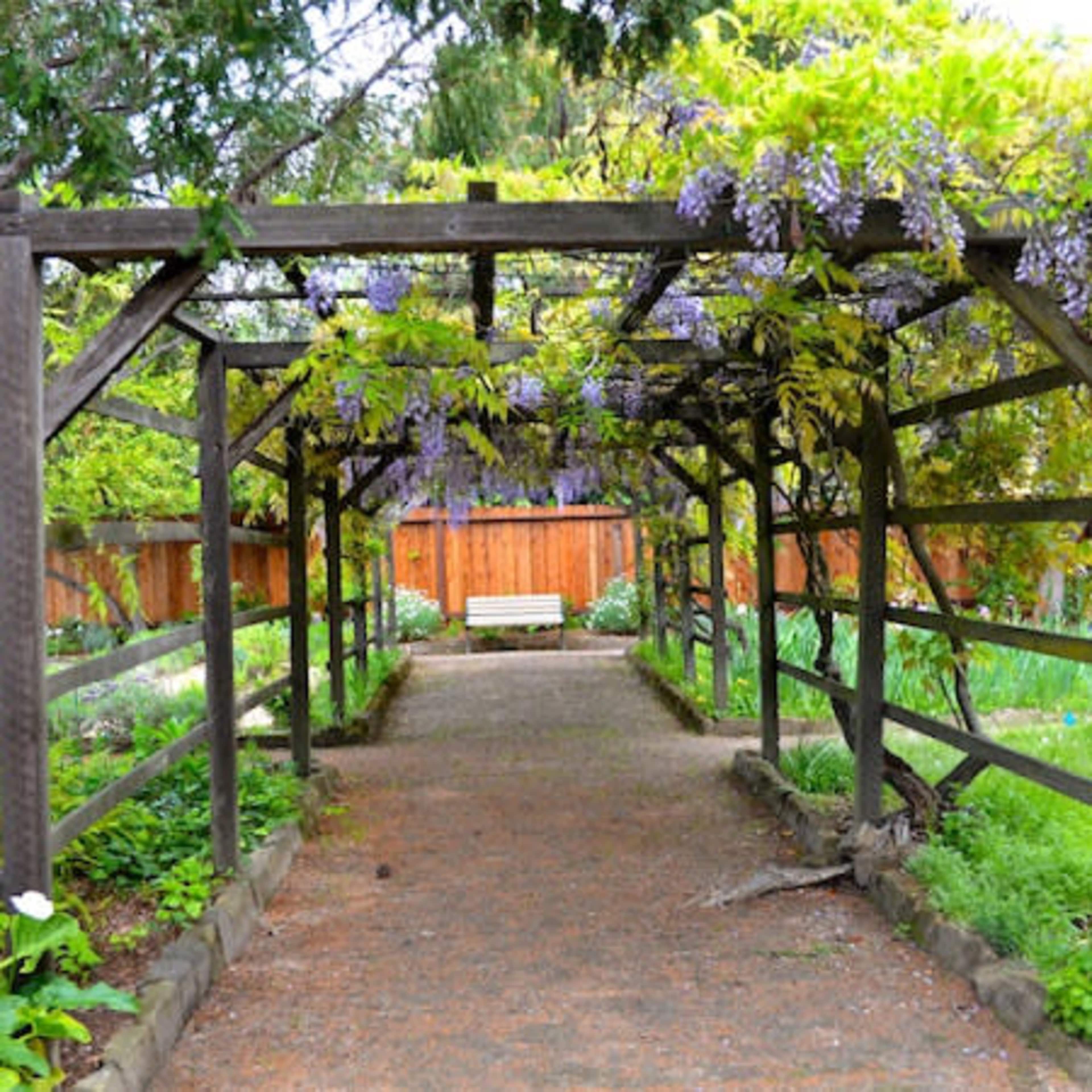 Charming Historic Garden in Downtown Palo Alto Image in Palo Alto, Palo Alto, CA
