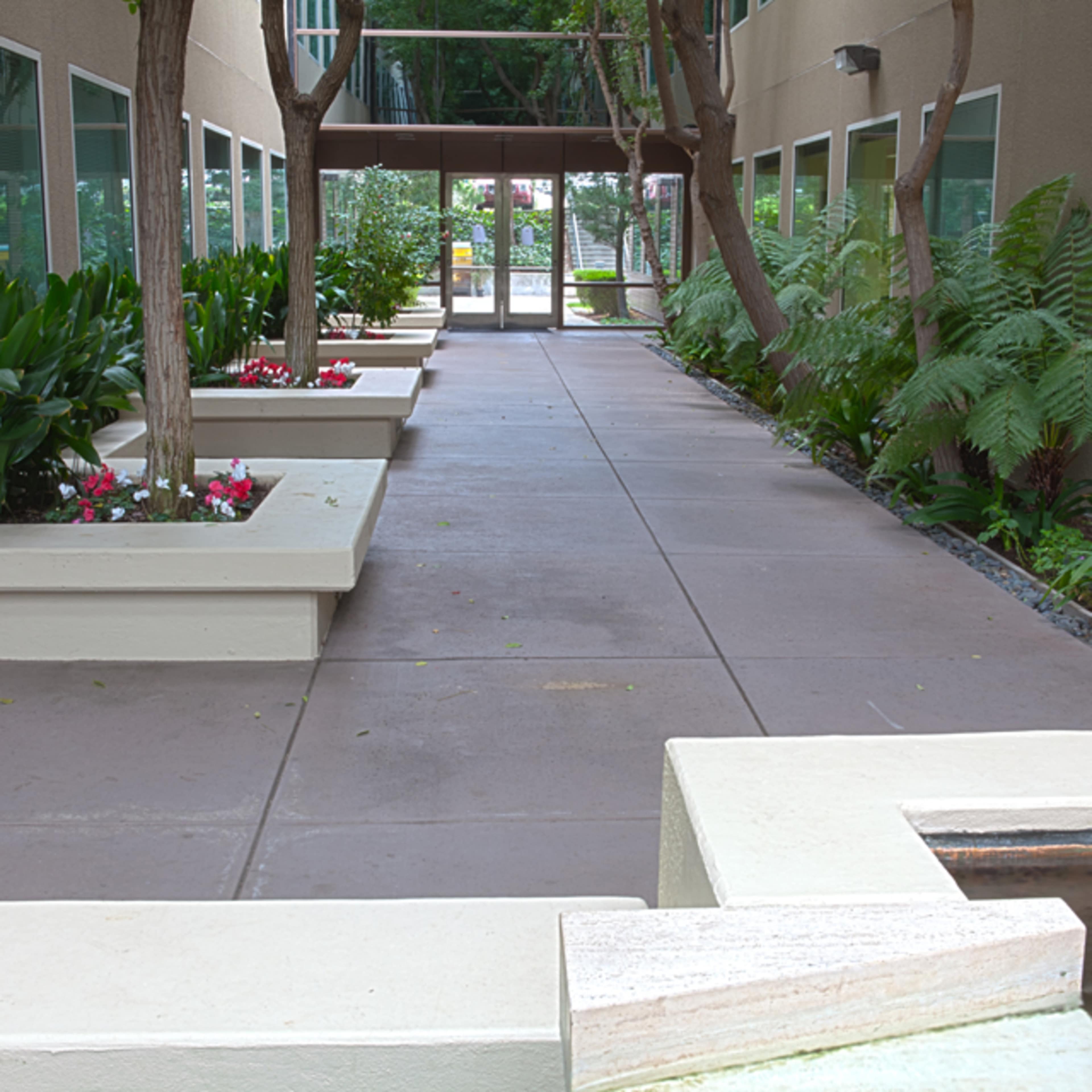 A wide walkway lined with plants and flower beds, bordered by a building on one side and a fountain feature on the other.