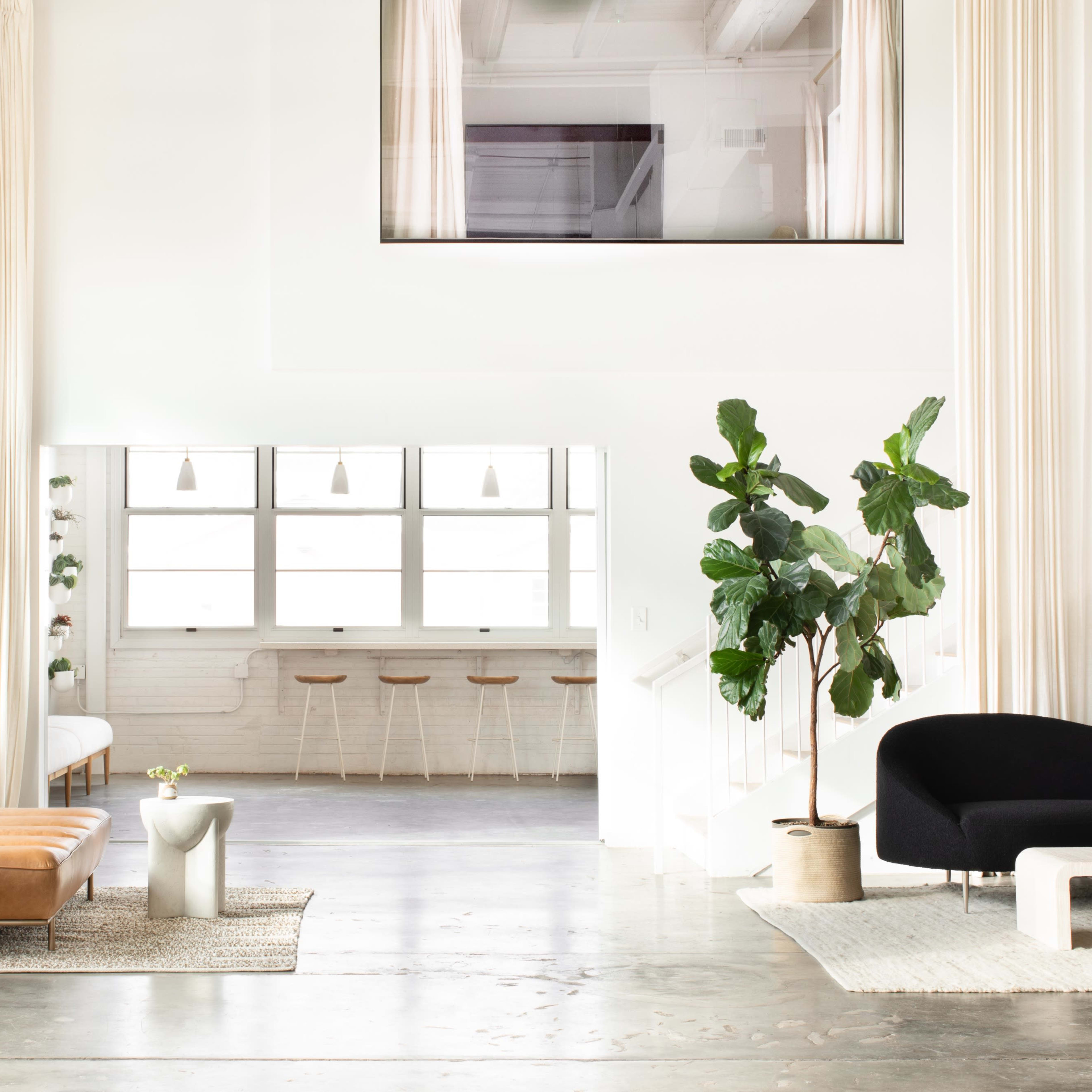 A bright, modern living space with high ceilings, large windows, a brown leather sofa, a black couch, and a tall plant beside a minimalist side table.