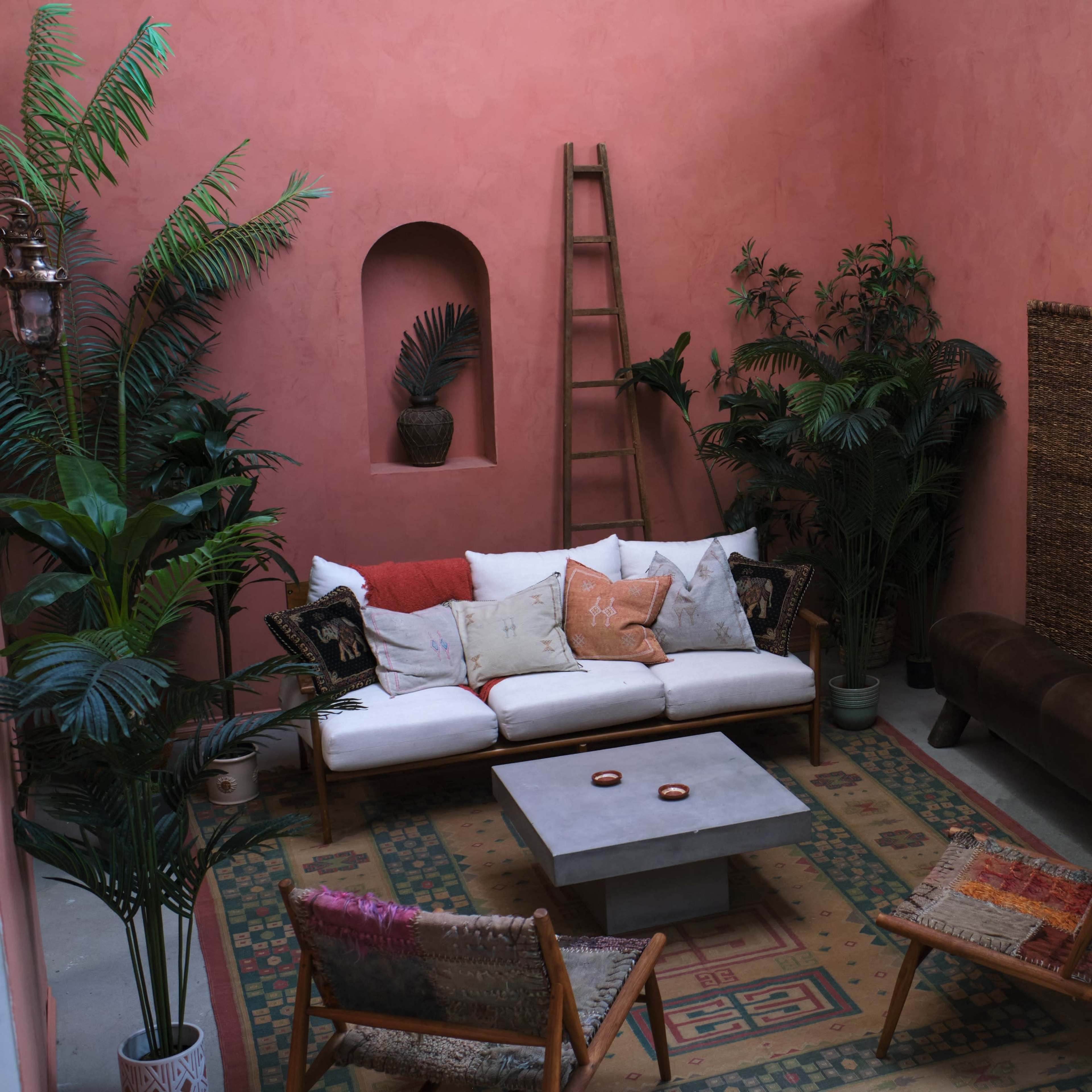 A cozy indoor seating area with a pink wall, various plants, a low coffee table, and comfortable furniture arranged around a patterned rug.