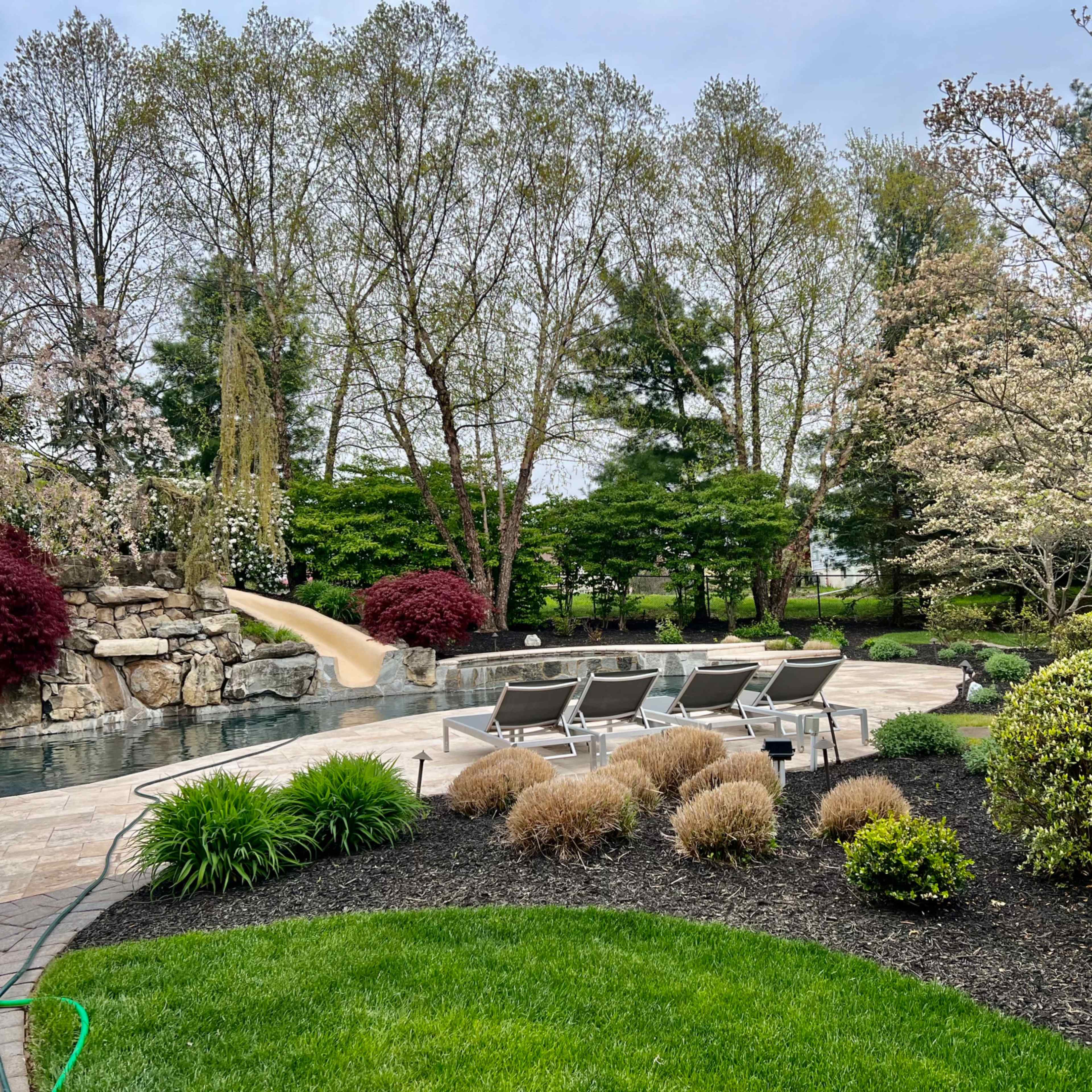A landscaped backyard featuring a swimming pool, lounge chairs, and a variety of trees and shrubs.