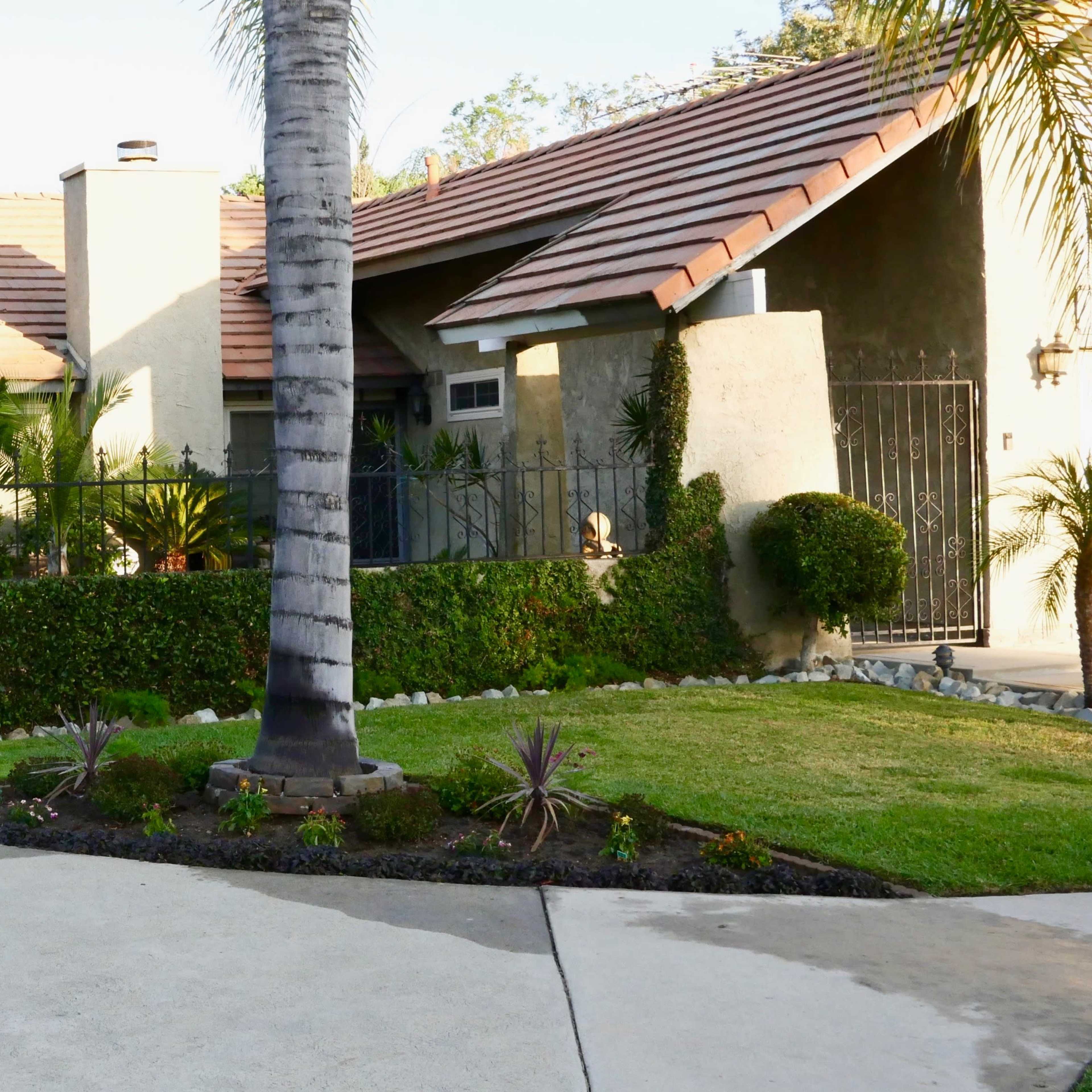 A residential street with a landscaped yard, a palm tree, and a walkway curving around a hedge.