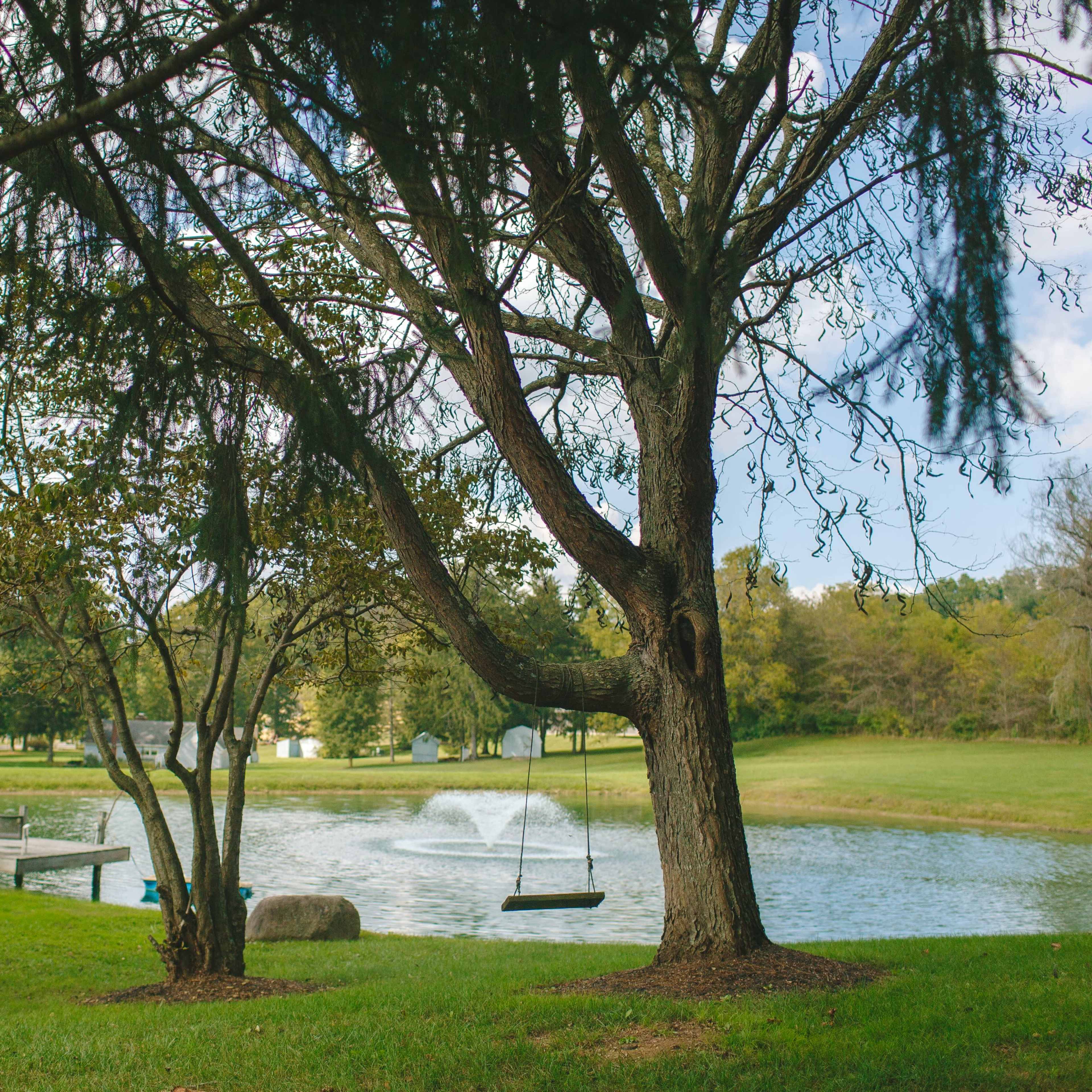 A swing hangs from a branch of a tree beside a pond with a fountain and grassy area in the background.