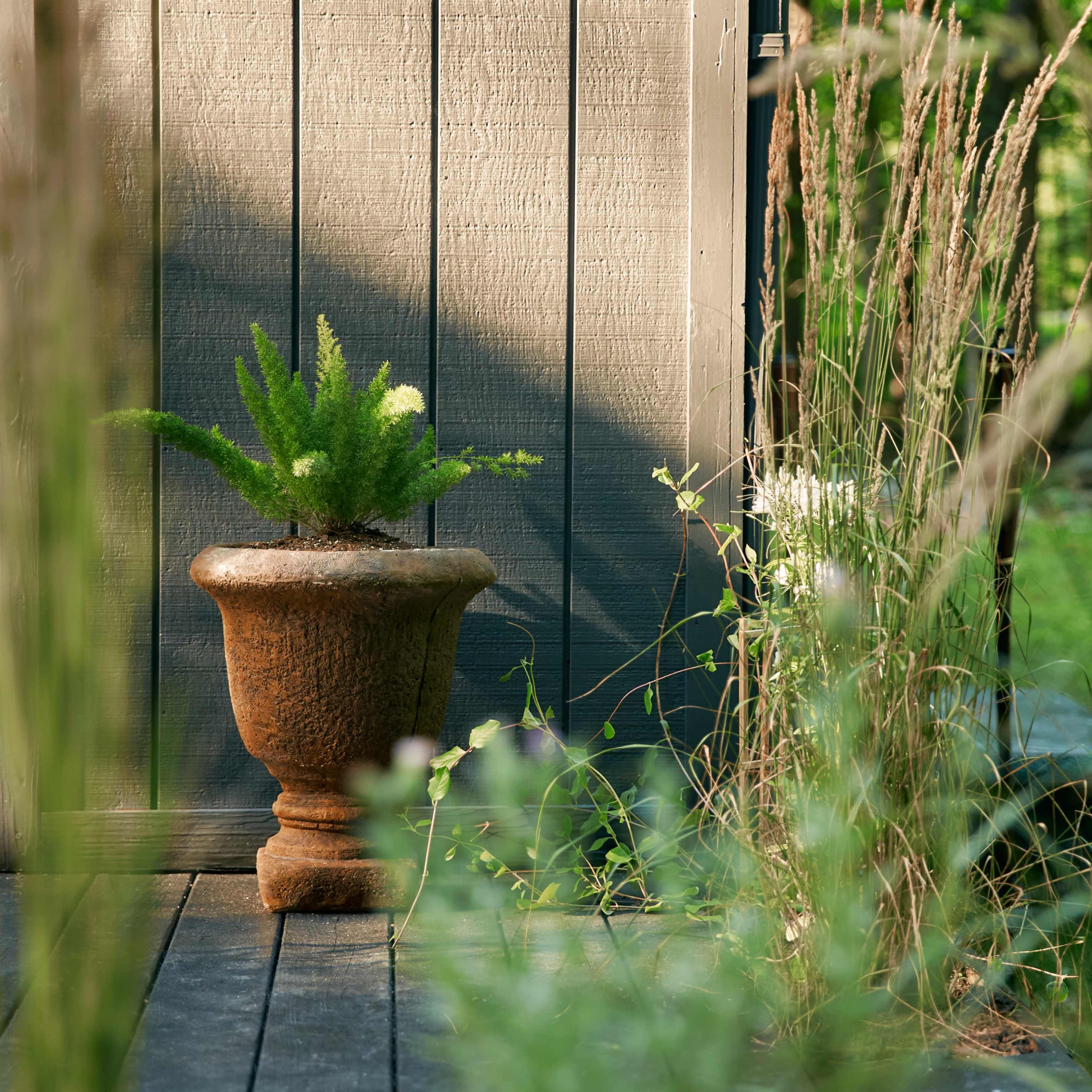 A decorative urn with a fern sits on a wooden deck near tall grasses and plants against a backdrop of a gray wall.