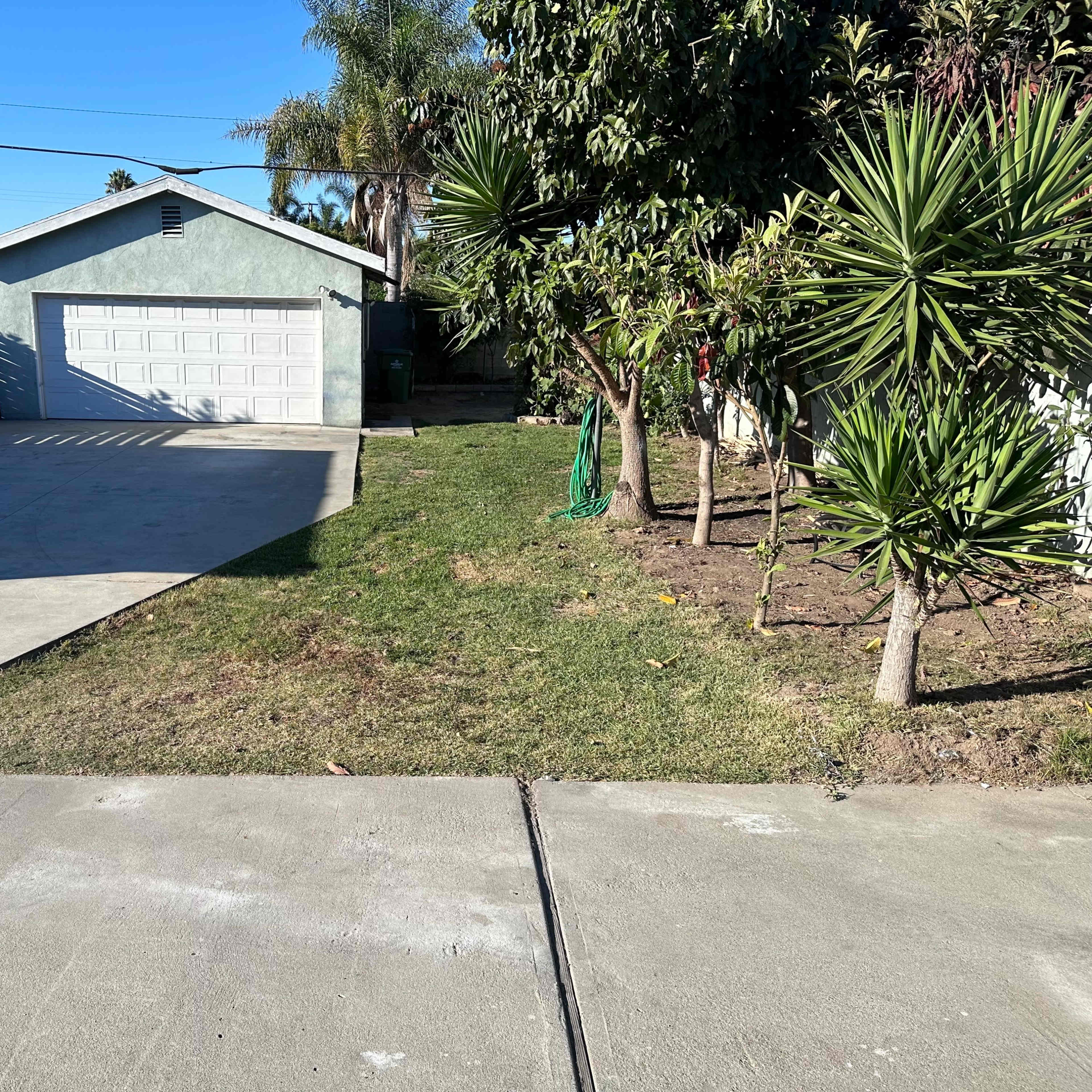 A concrete driveway leads to a light blue garage with a green lawn and palm trees on the side.