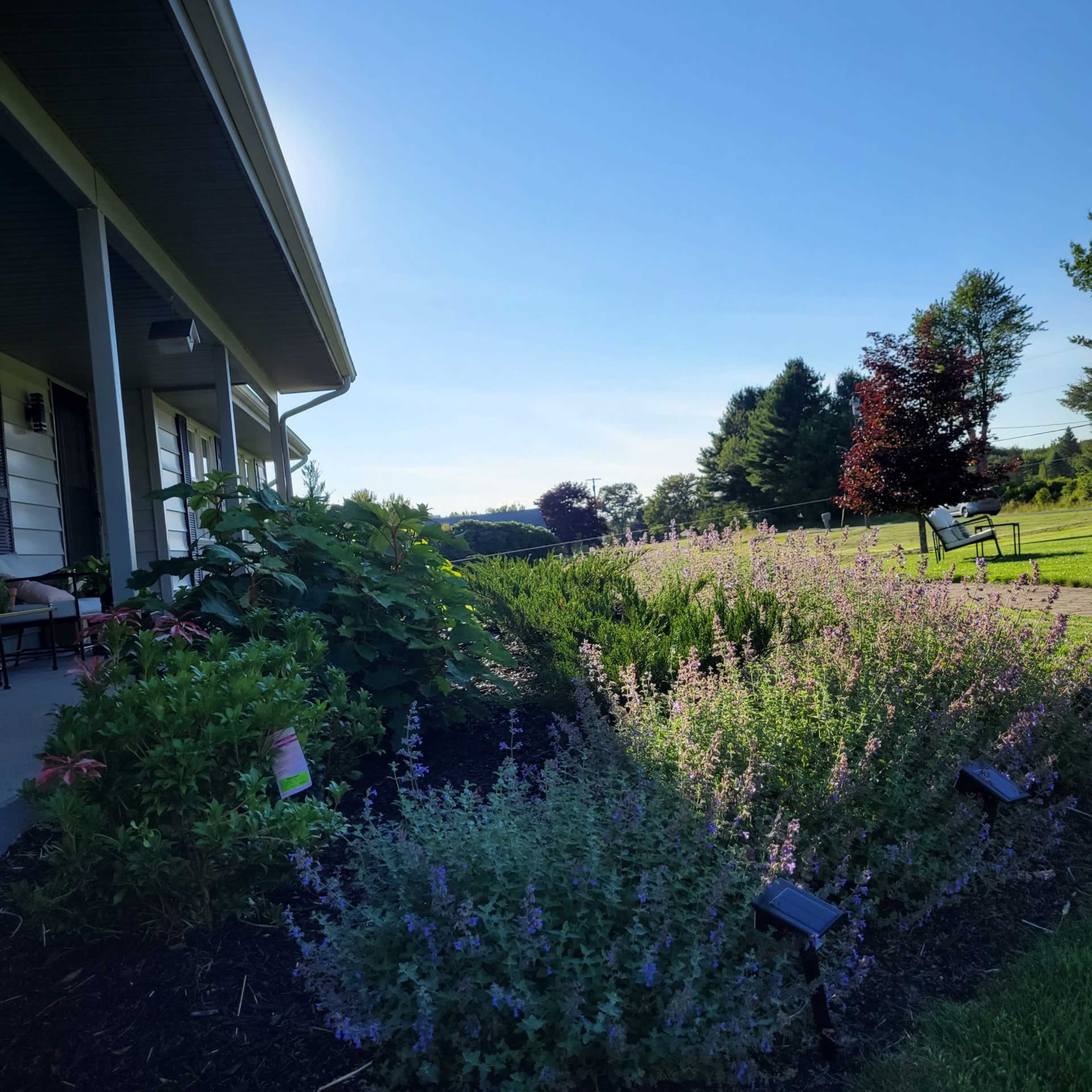 A landscaped front yard features colorful flowering plants under a clear sky, with a flagpole displaying an American flag.
