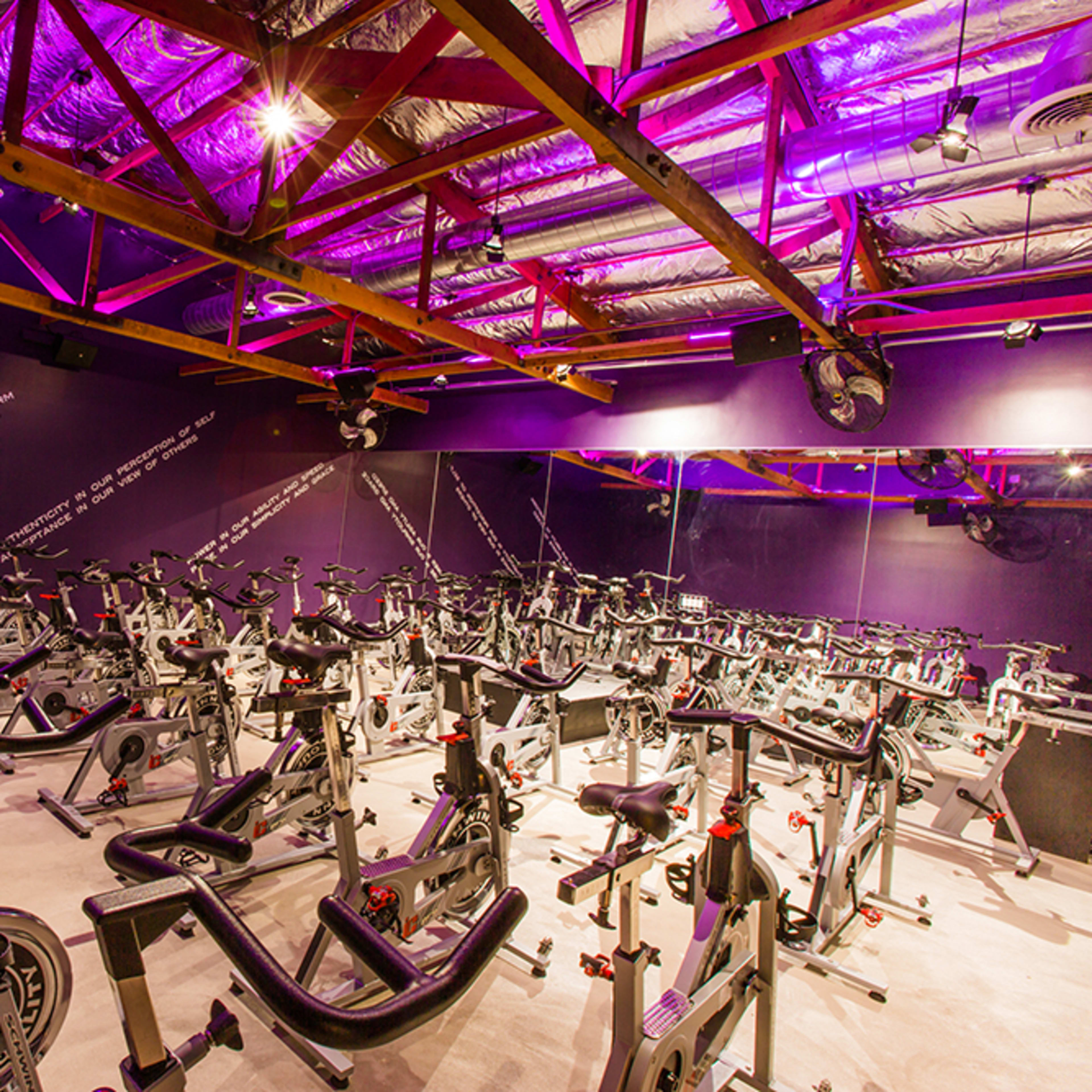 A fitness studio filled with stationary bikes arranged in neat rows under a purple-lit ceiling.