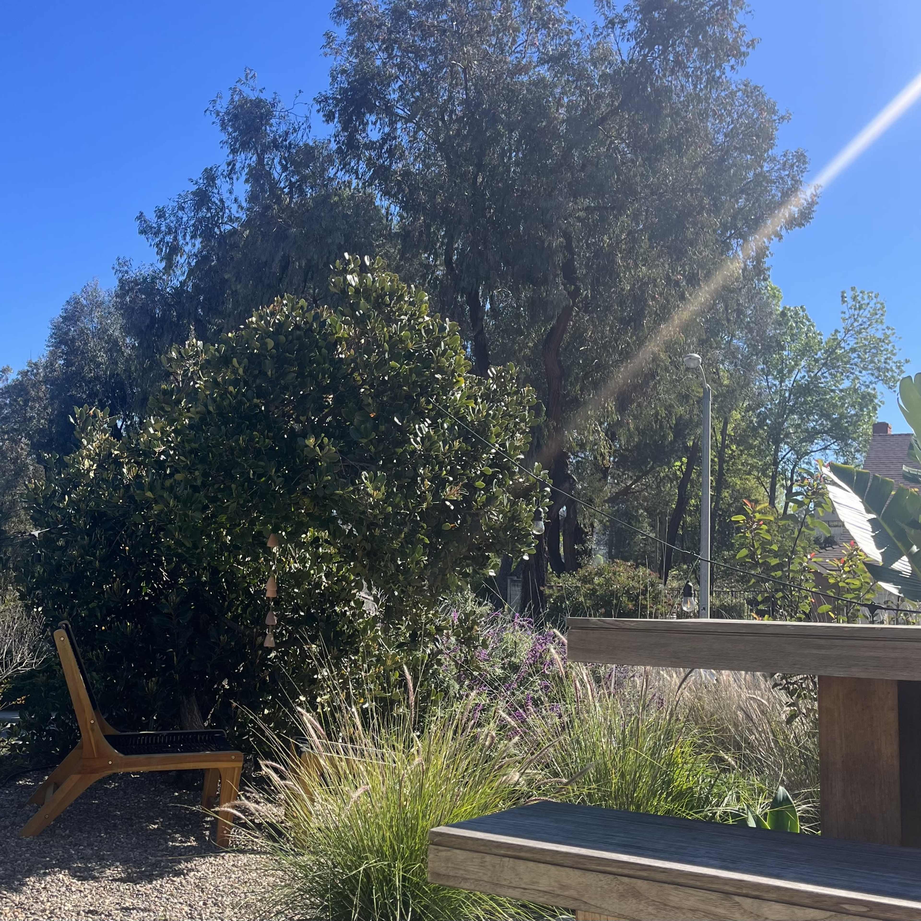 A garden scene with a wooden chair, green foliage, and a clear blue sky.