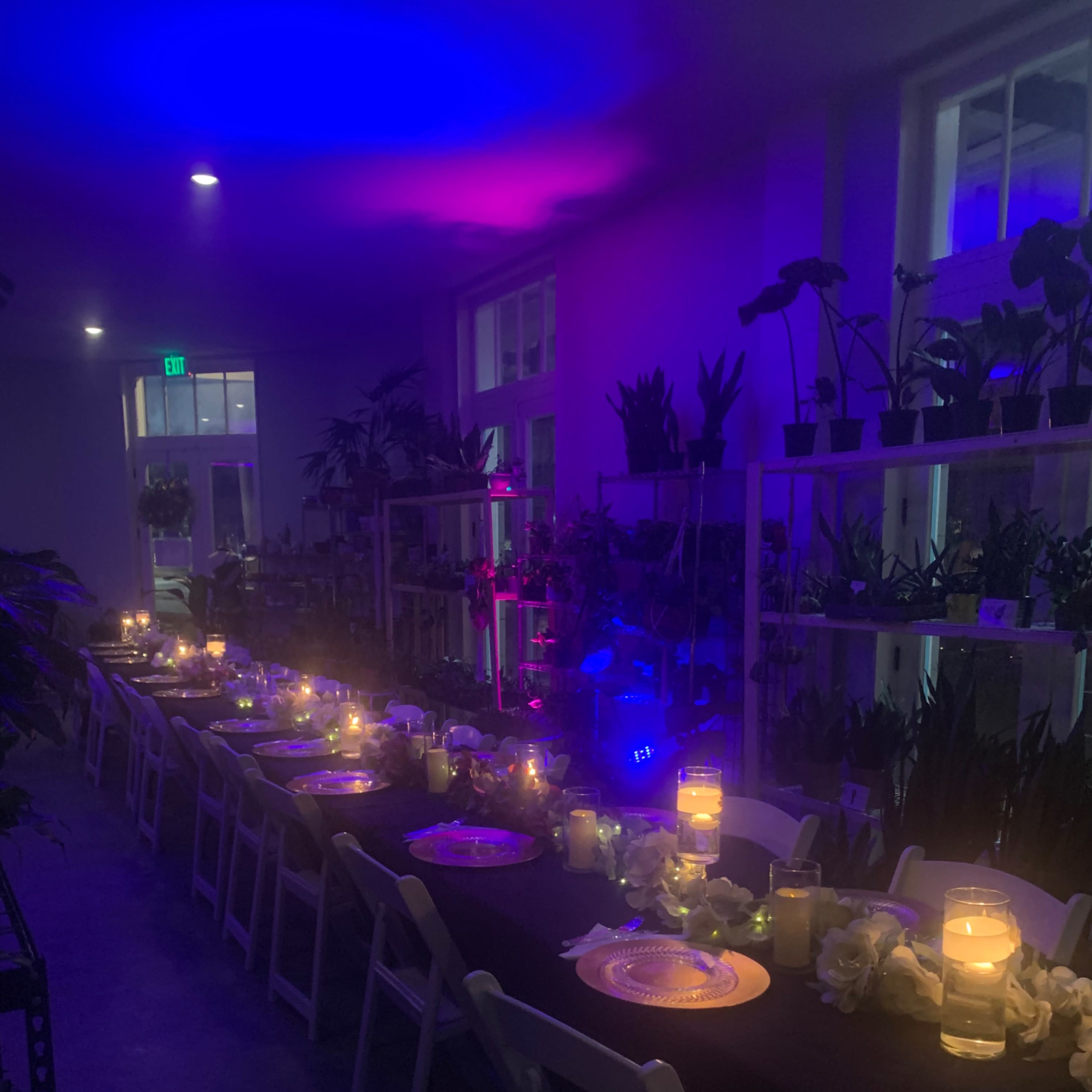 A long table set for dinner, illuminated by candles, surrounded by indoor plants and a purple ambient light.