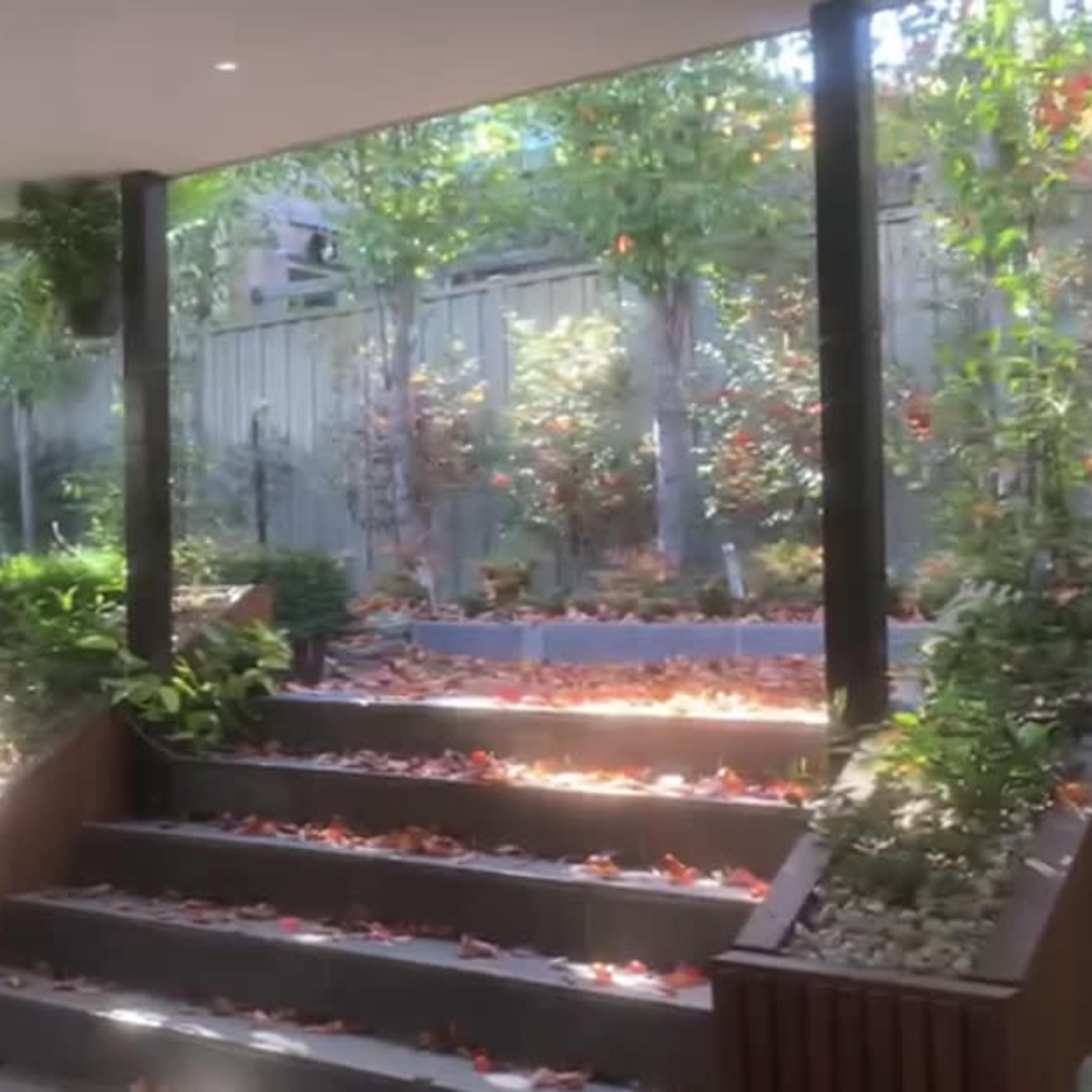 A garden area with wooden stairs covered in autumn leaves, flanked by plants and a fence in the background.