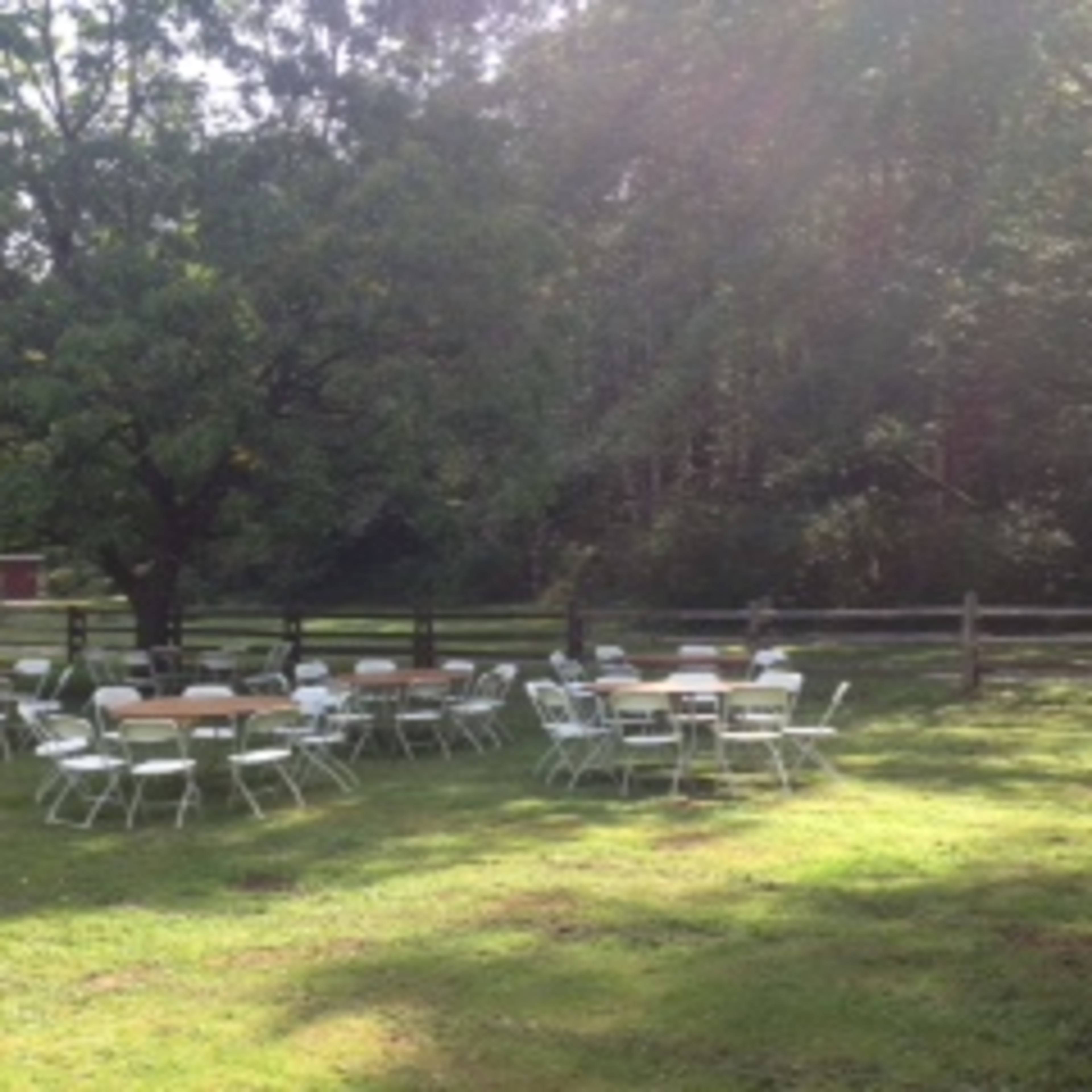 A grassy area features several tables and chairs arranged underneath a large tree, with a wooden fence and forest in the background.
