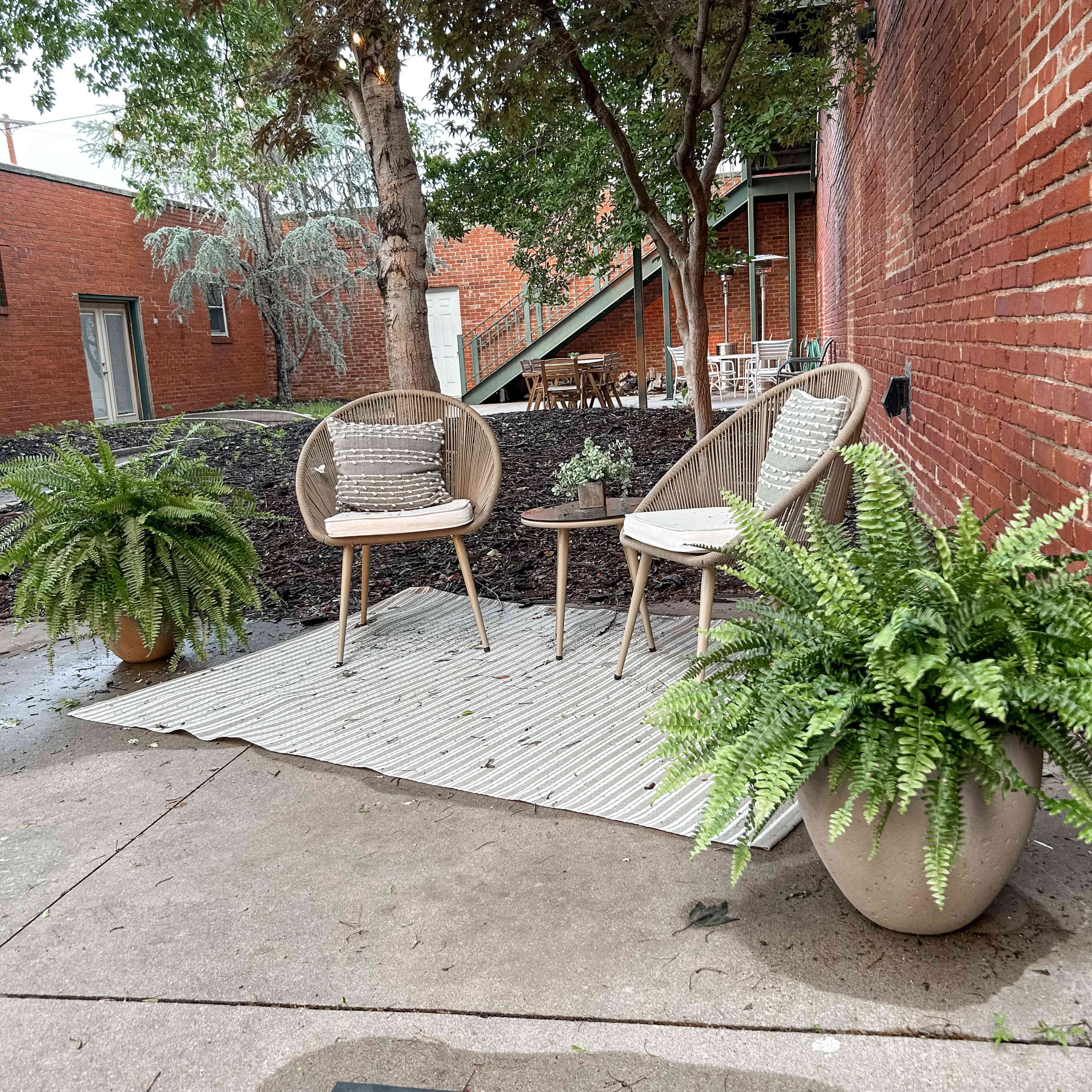 Two woven chairs with cushions sit on a striped rug beside a small table, surrounded by potted ferns in a landscaped outdoor area with brick walls.