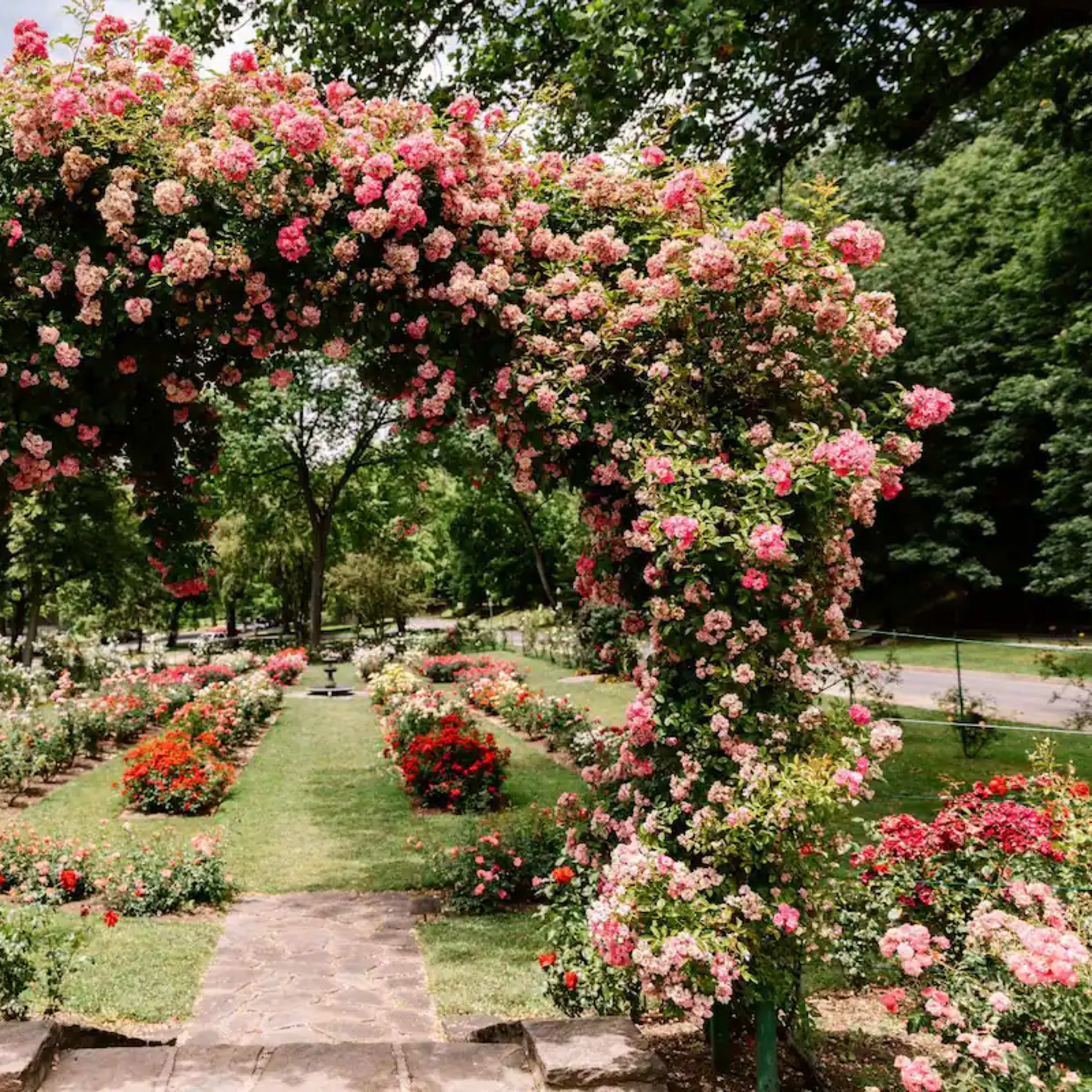 A rose-covered archway leads into a garden filled with blooming flower beds and green trees.
