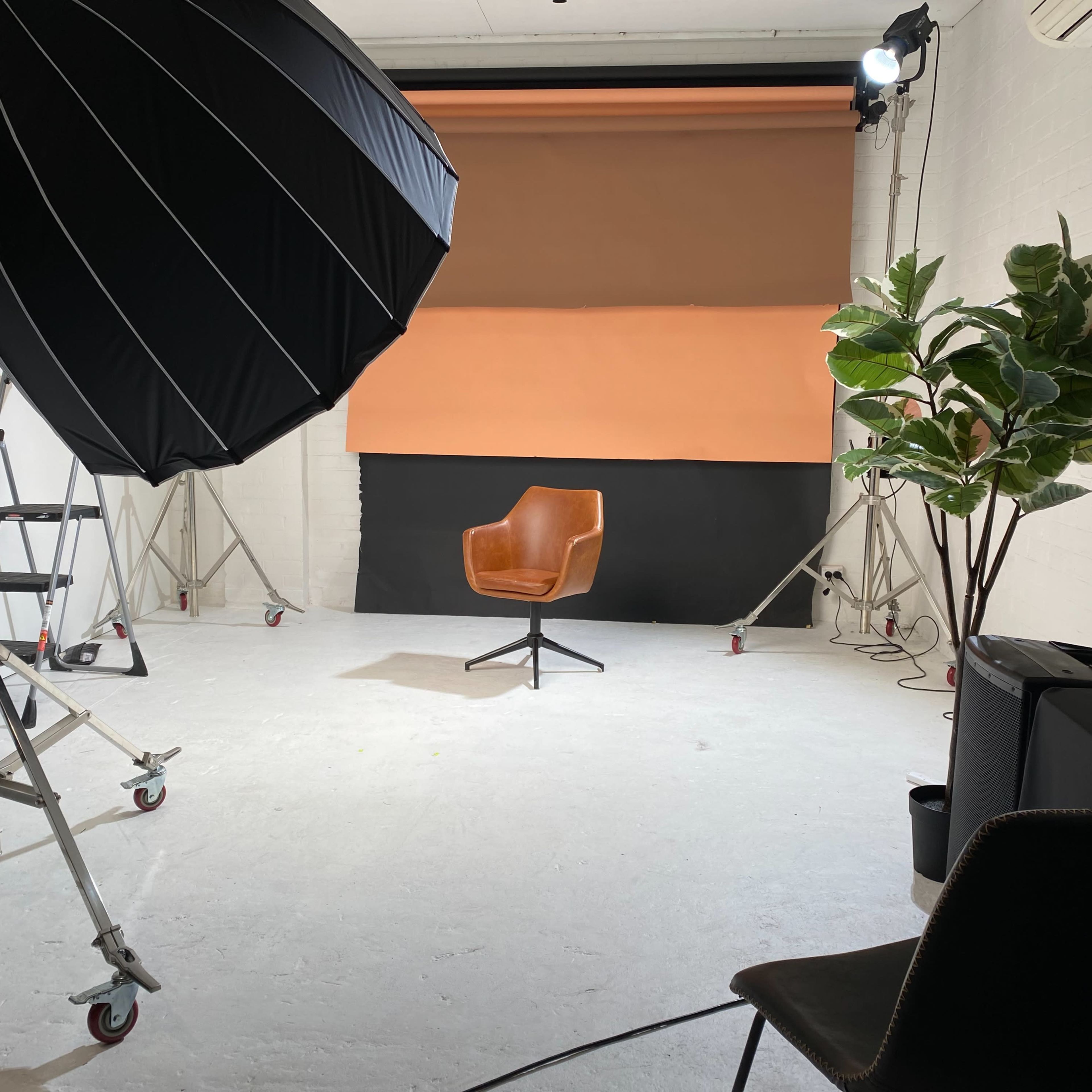 A minimal photography studio featuring a single brown chair, a large softbox light, a potted plant, and a backdrop with brown and black panels.