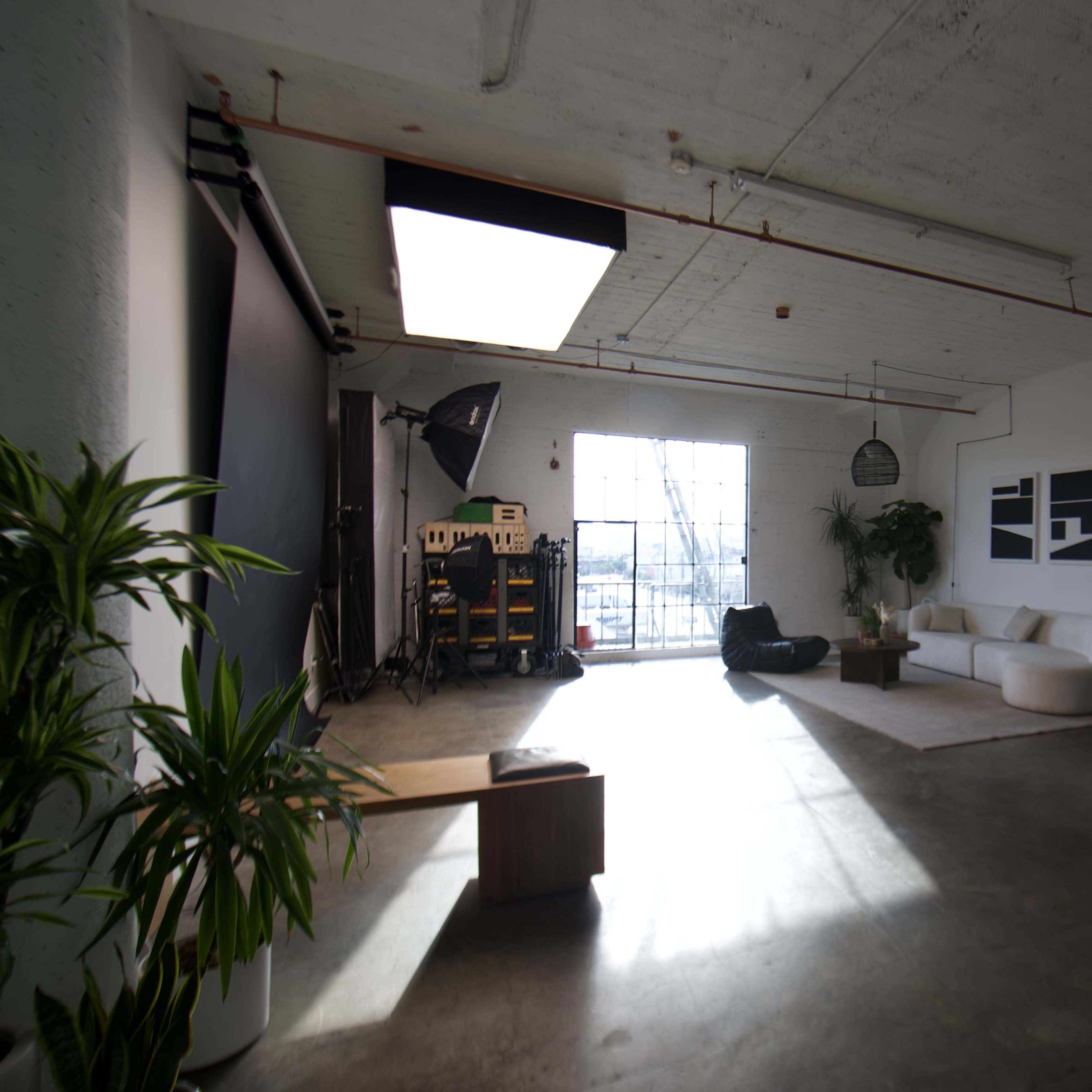 A spacious indoor area with a minimalist aesthetic, featuring a couch, plants, and large windows allowing natural light to enter.