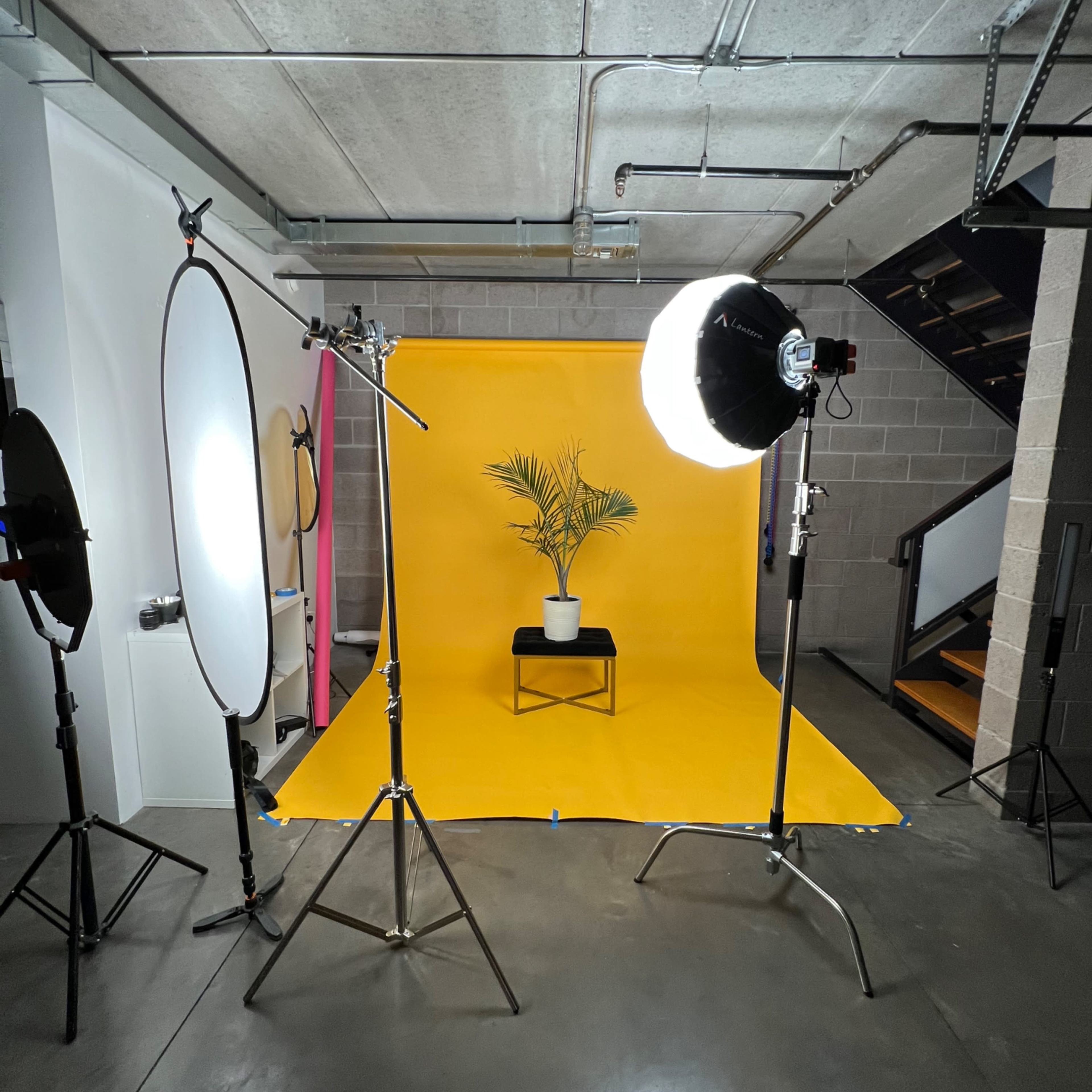 A photography setup features a yellow backdrop, lighting equipment, and a potted plant on a small table.