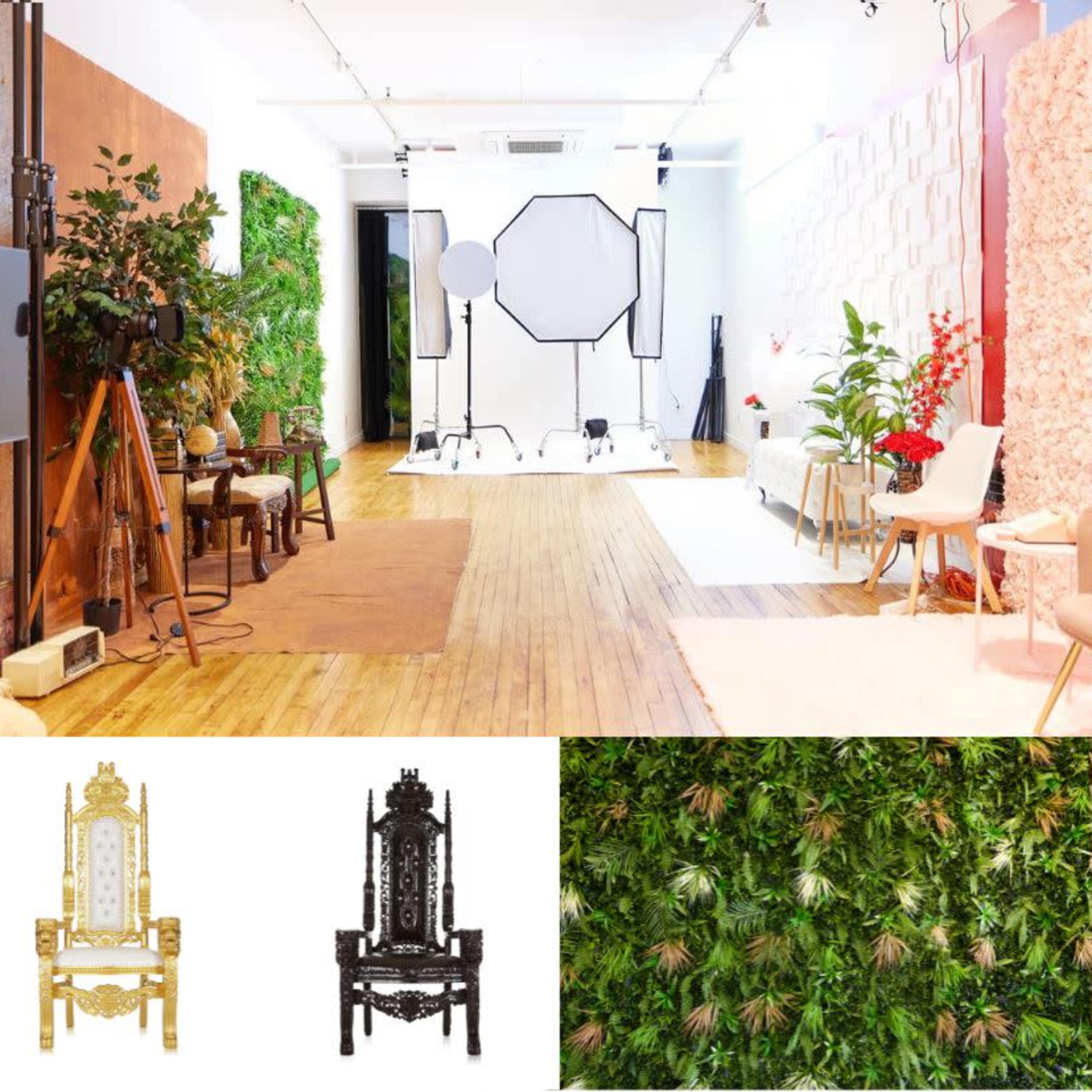 A multifaceted photography studio featuring various textured backdrops, lush greenery, decorative furniture, and unique seating arrangements.
