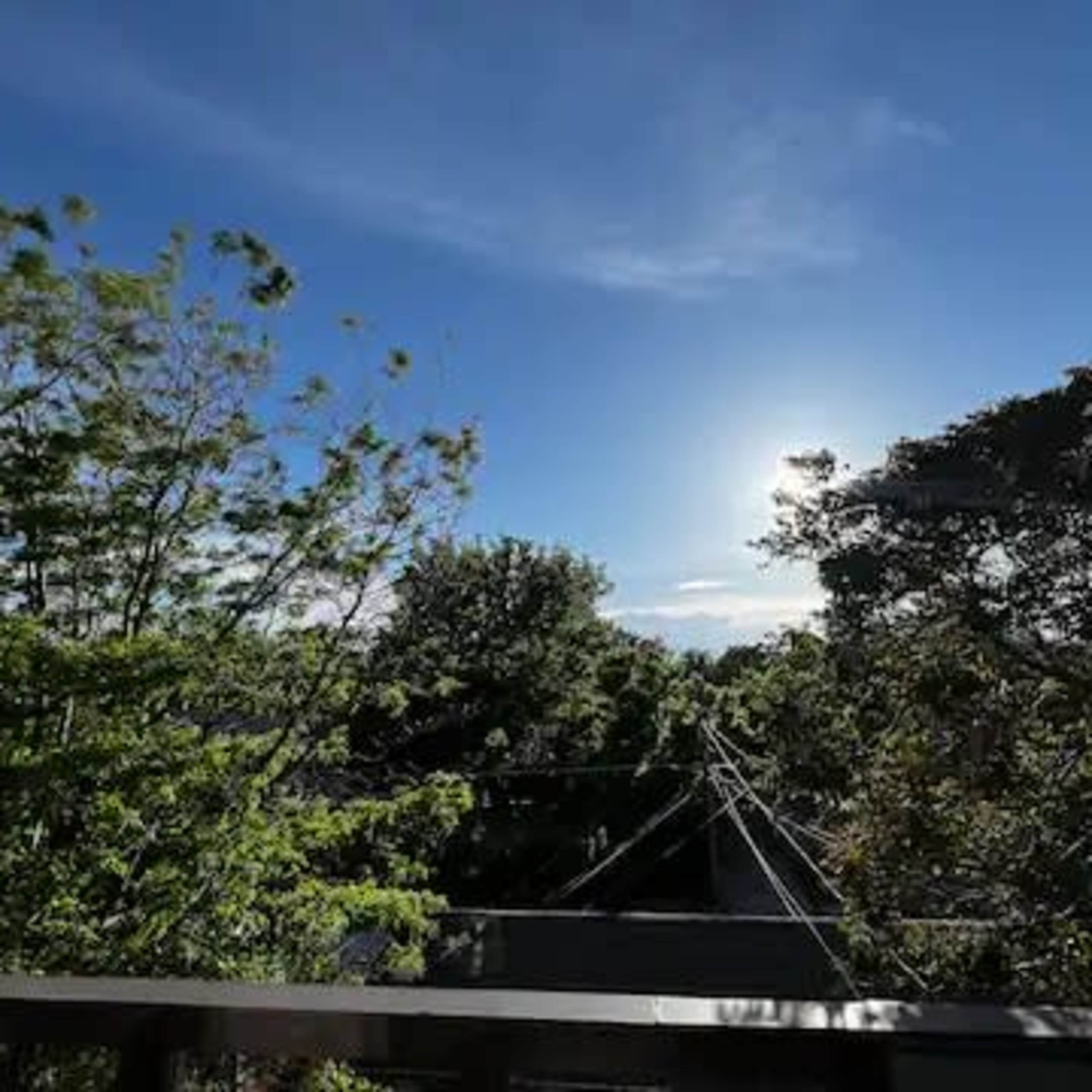 A view of a clear sky with scattered clouds above a dense green forest.