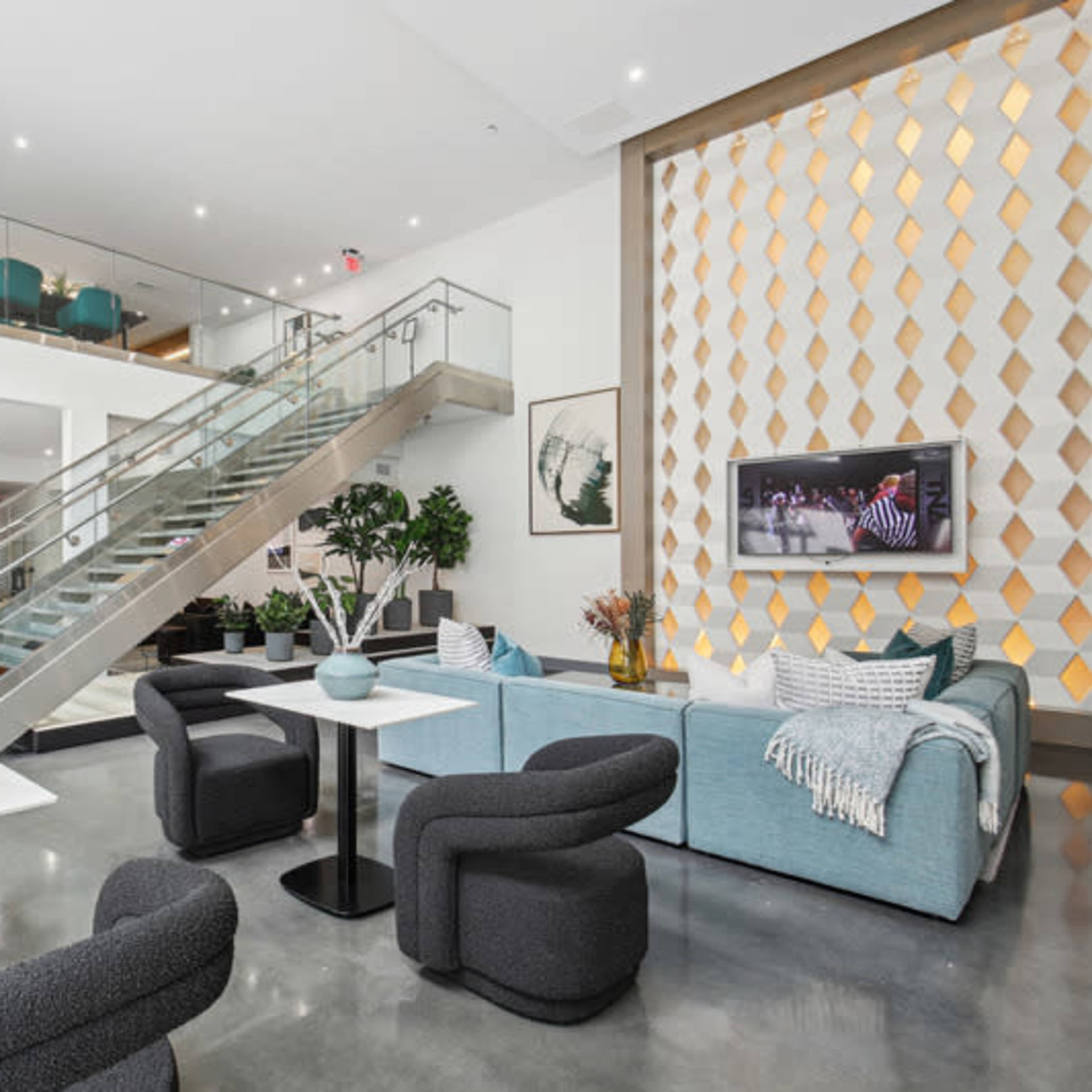 The Purrfect Place Image in Buckhead, Atlanta, GA