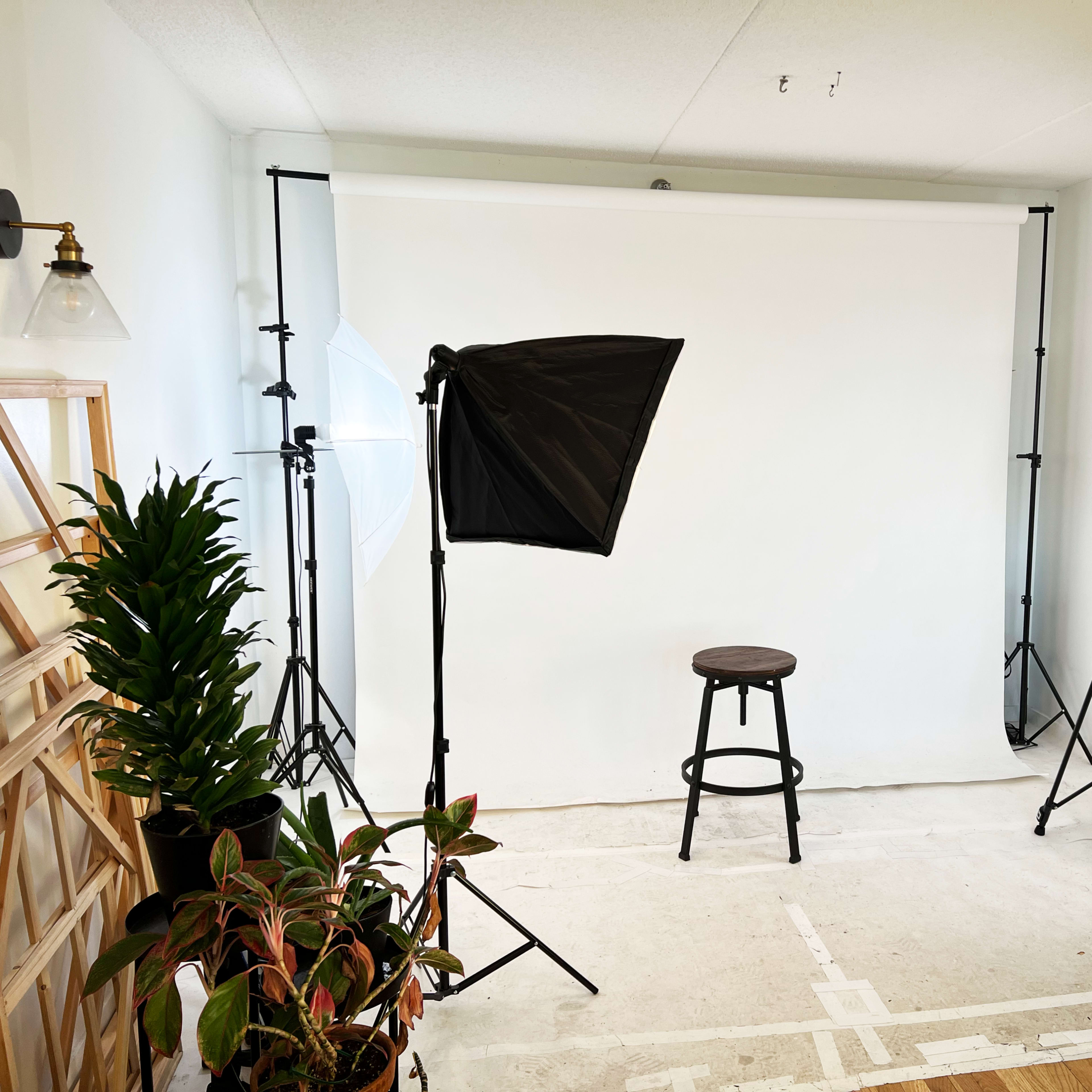 A photography setup featuring a white backdrop, a single black stool in the center, and two lights on stands arranged on either side, with plants positioned in the foreground.