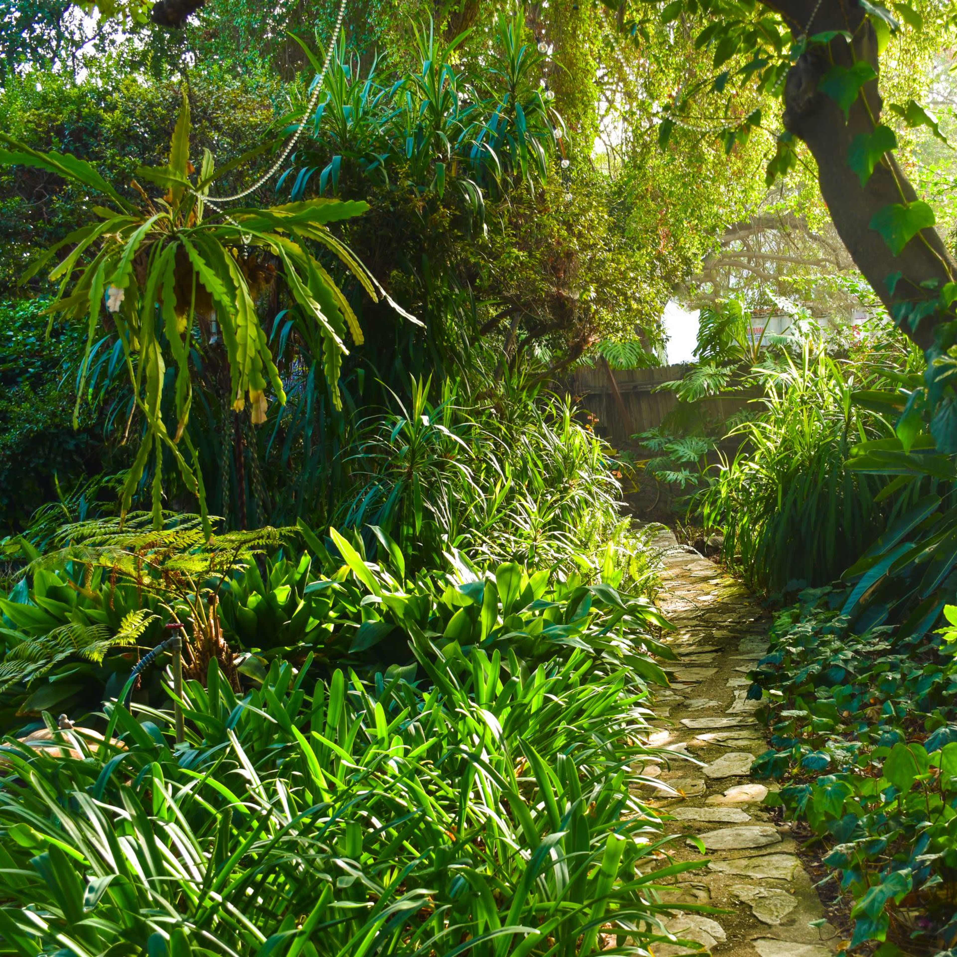 A stone pathway winds through lush greenery in a garden illuminated by sunlight.