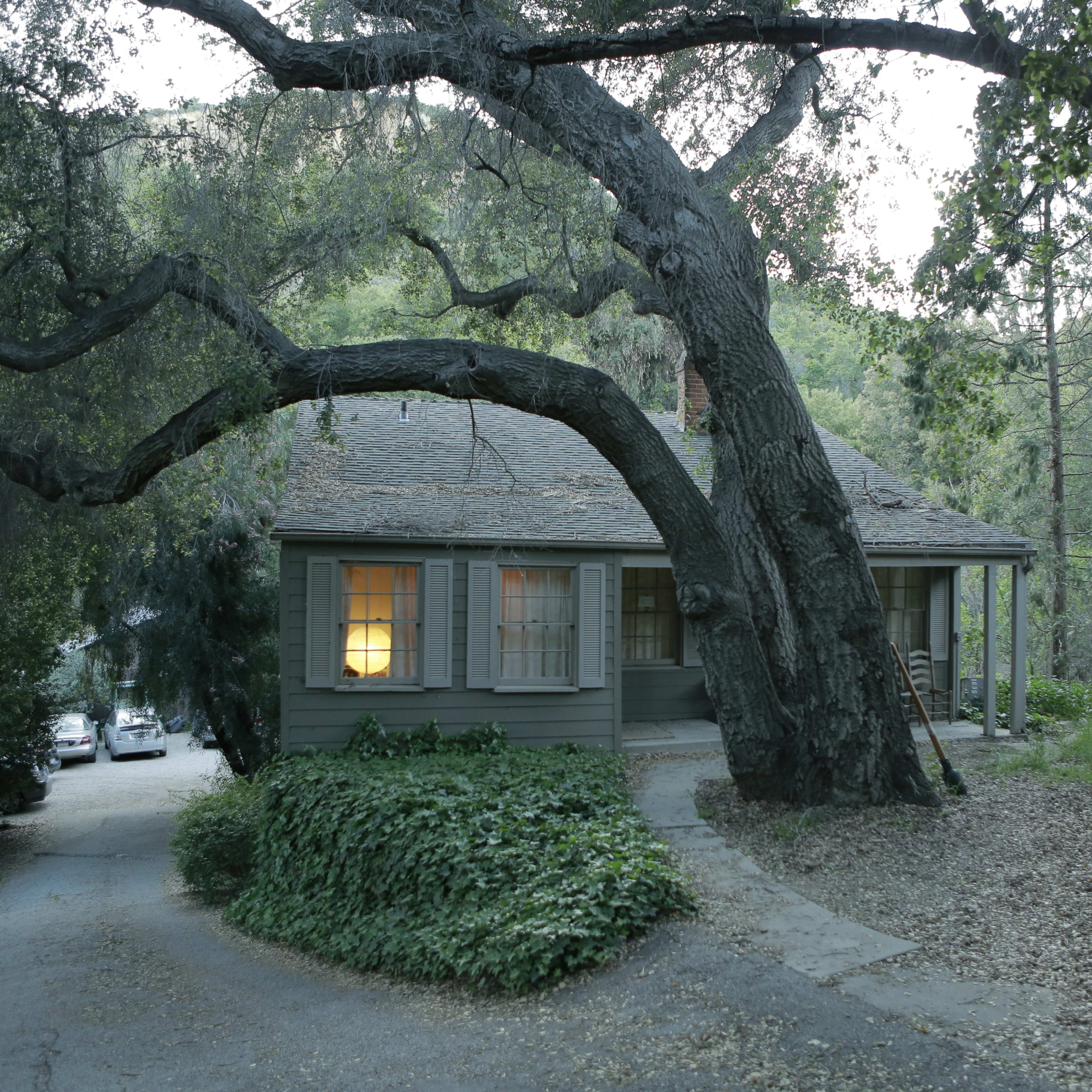 A single-story gray house sits at the end of a winding driveway, with a large tree arching over it and a warm light glowing from one of its windows.