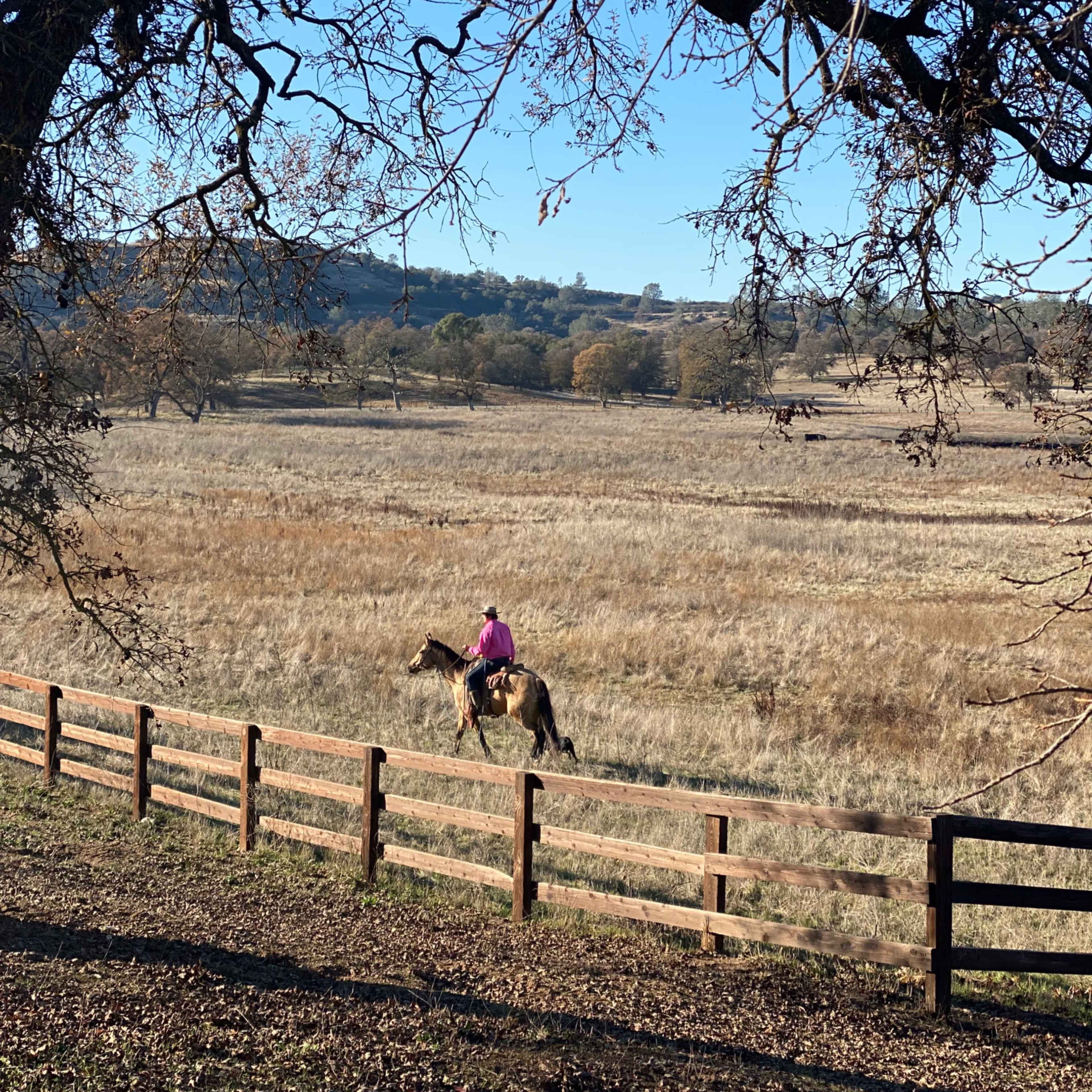 Relaxed Ranch Setting with Expansive Country Views Image in , Ione, CA