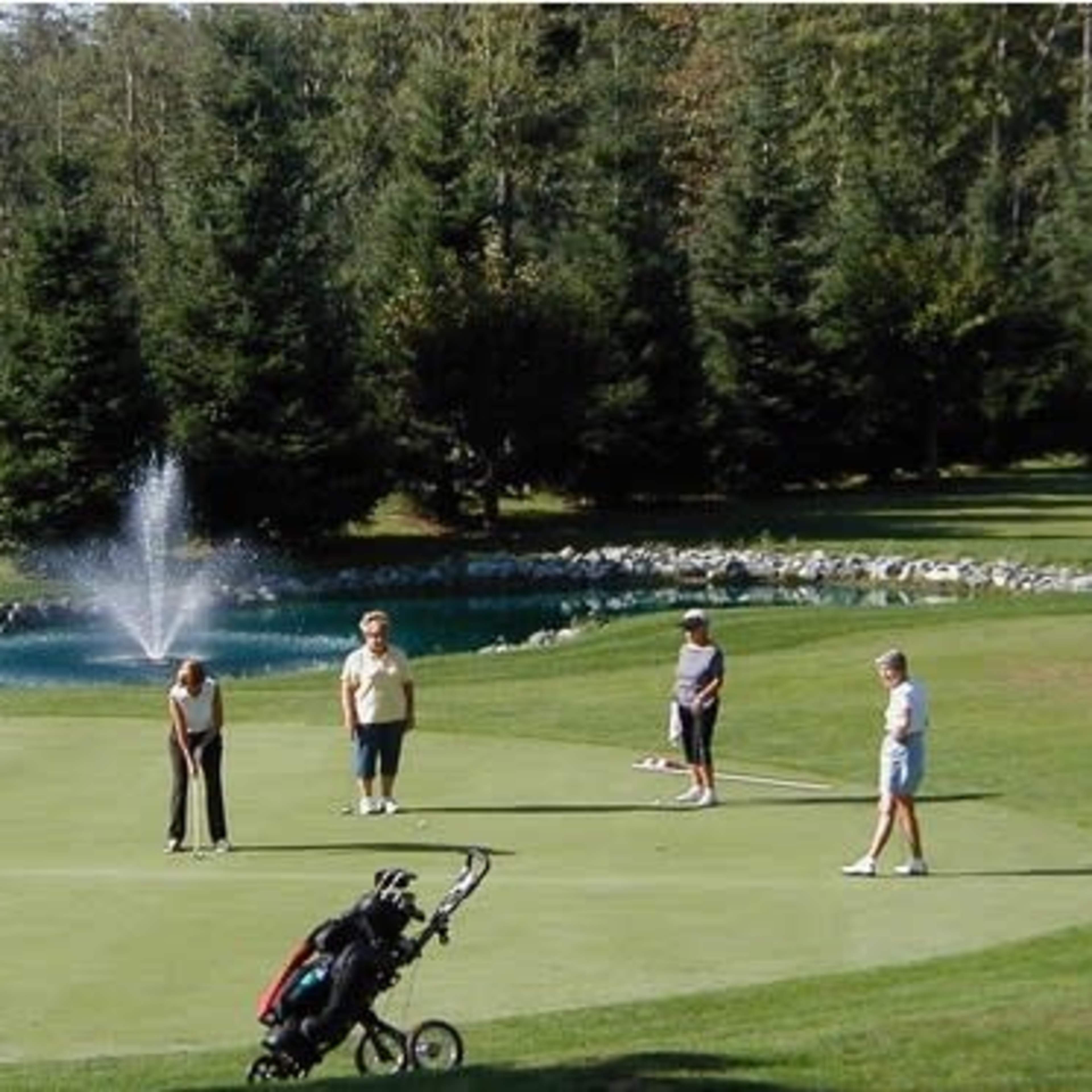 Five people are playing golf on a green with a fountain and trees in the background.