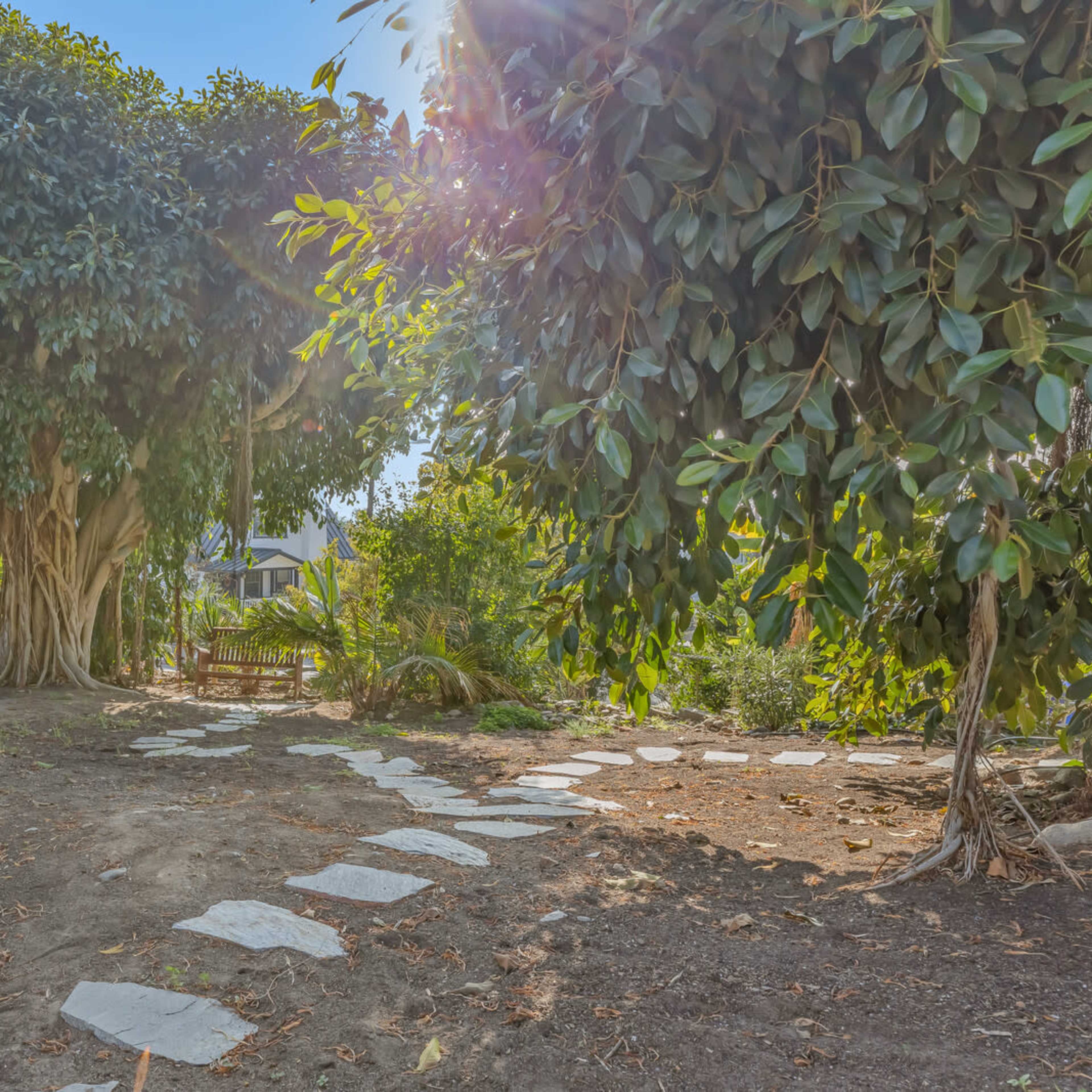 A stone pathway leads through a garden filled with various plants, ending near a large tree that provides shade.