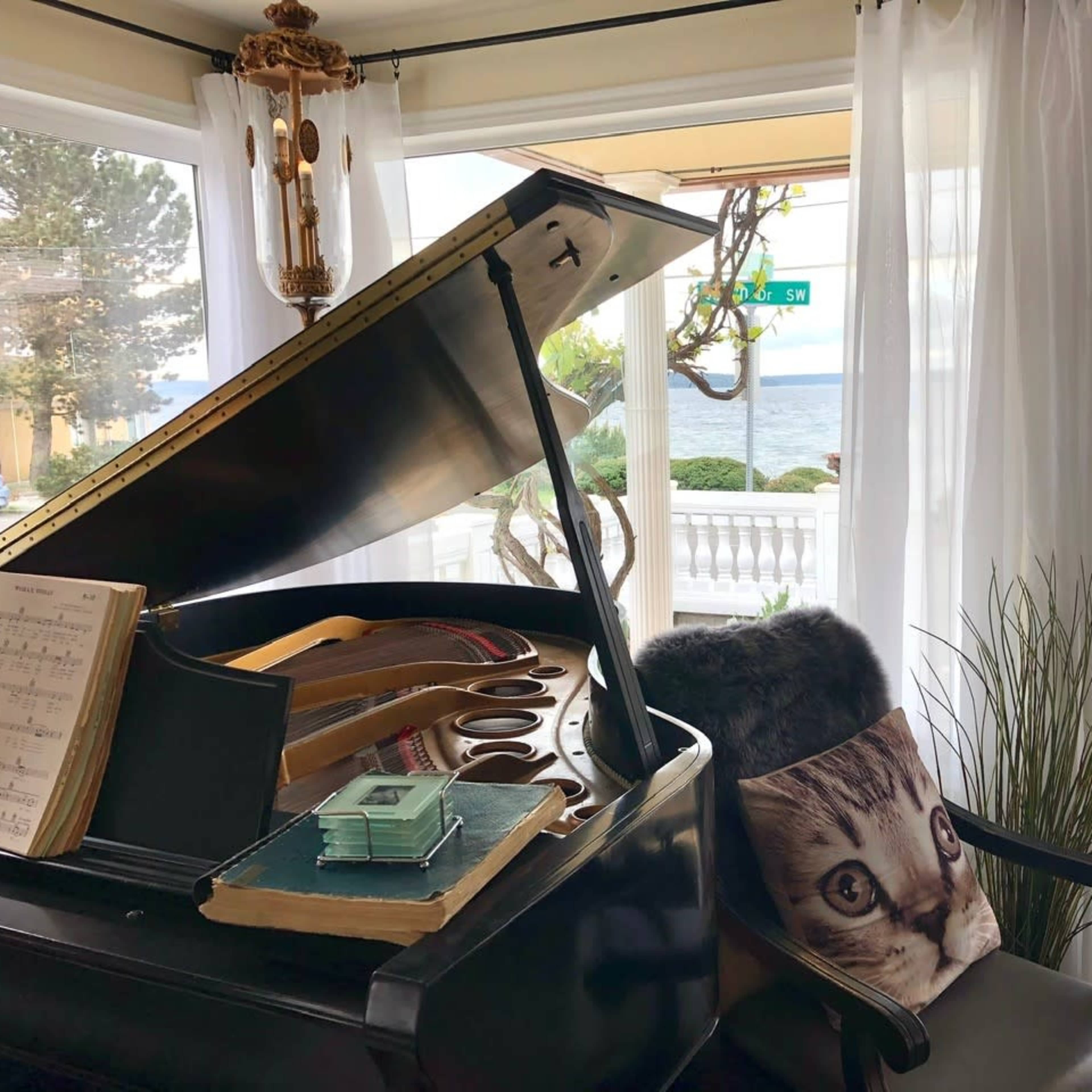 A grand piano is positioned near a window, revealing a view of the water outside, with a decorative pillow featuring a cat's face on a nearby chair.